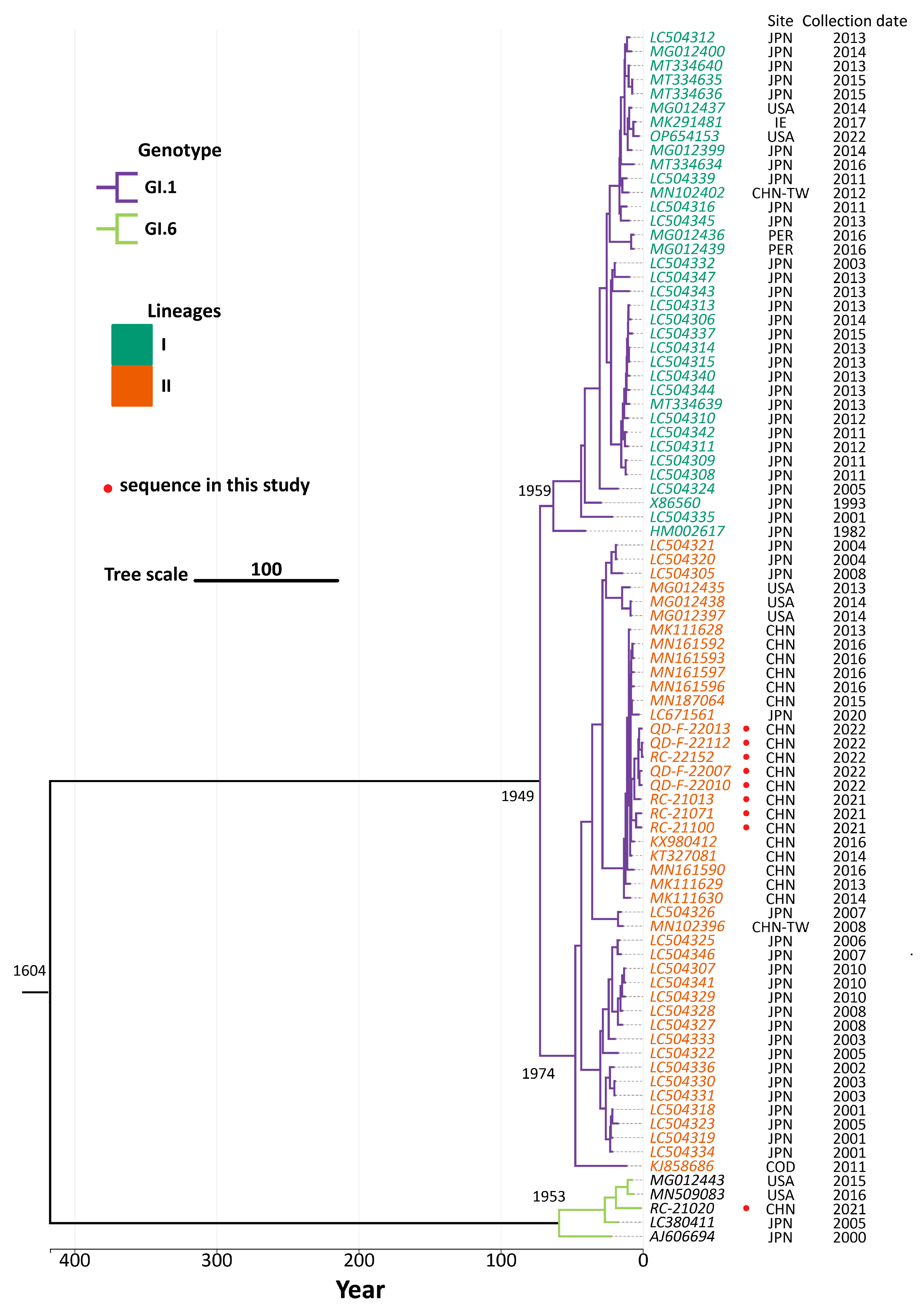Viruses 16 00146 g004