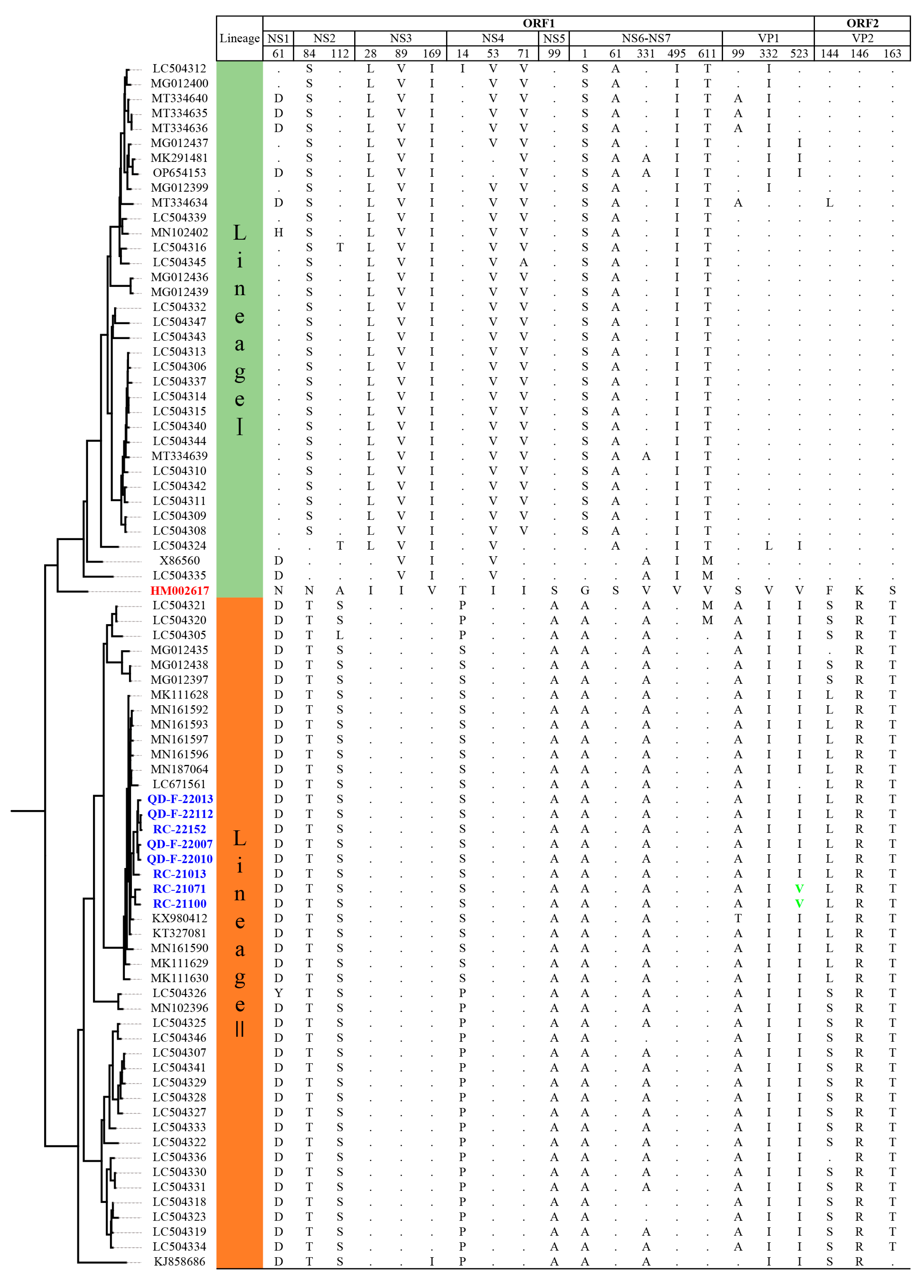 Viruses 16 00146 g005