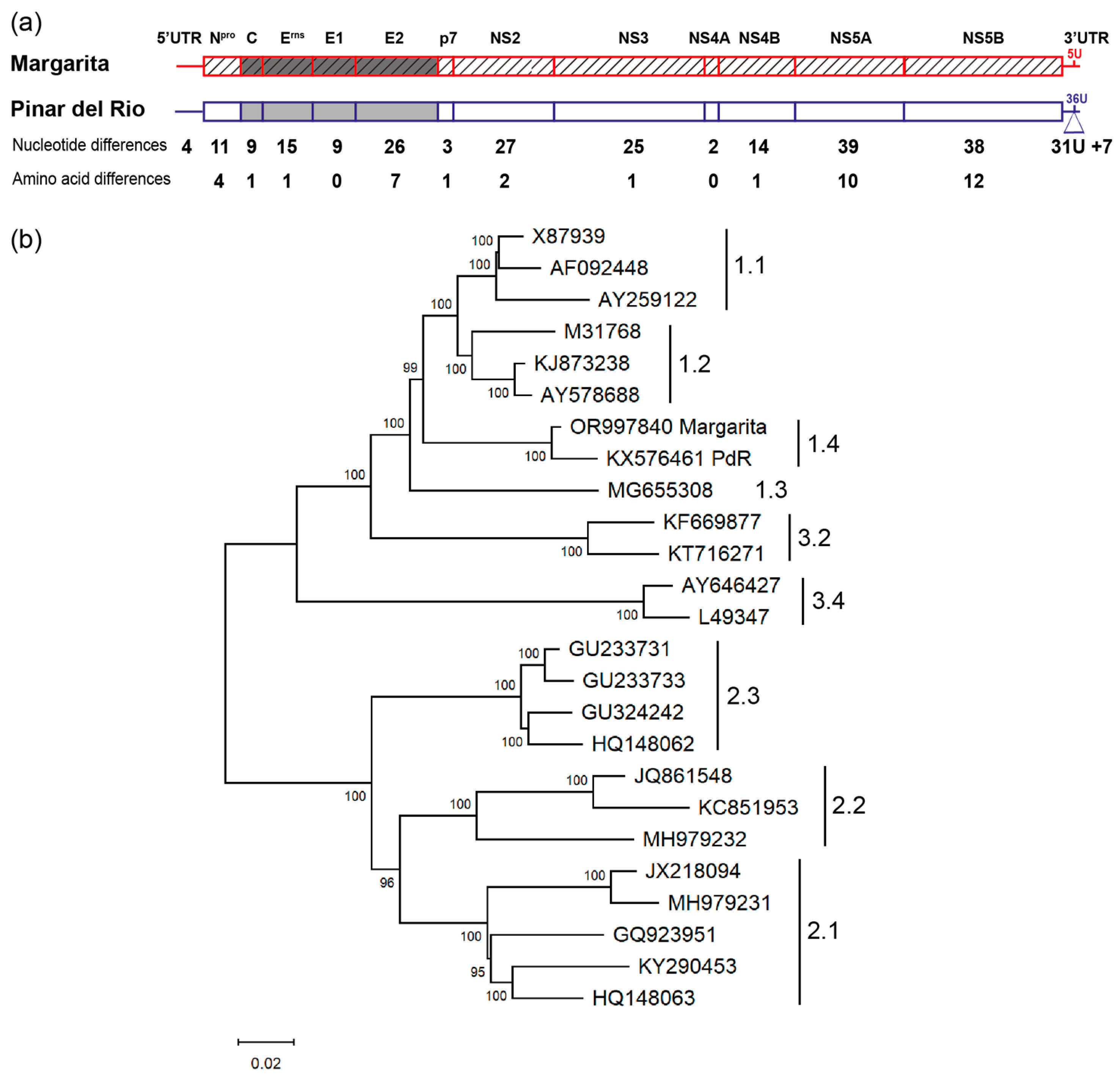 Viruses 16 00147 g001 Viruses 16 00147 g001