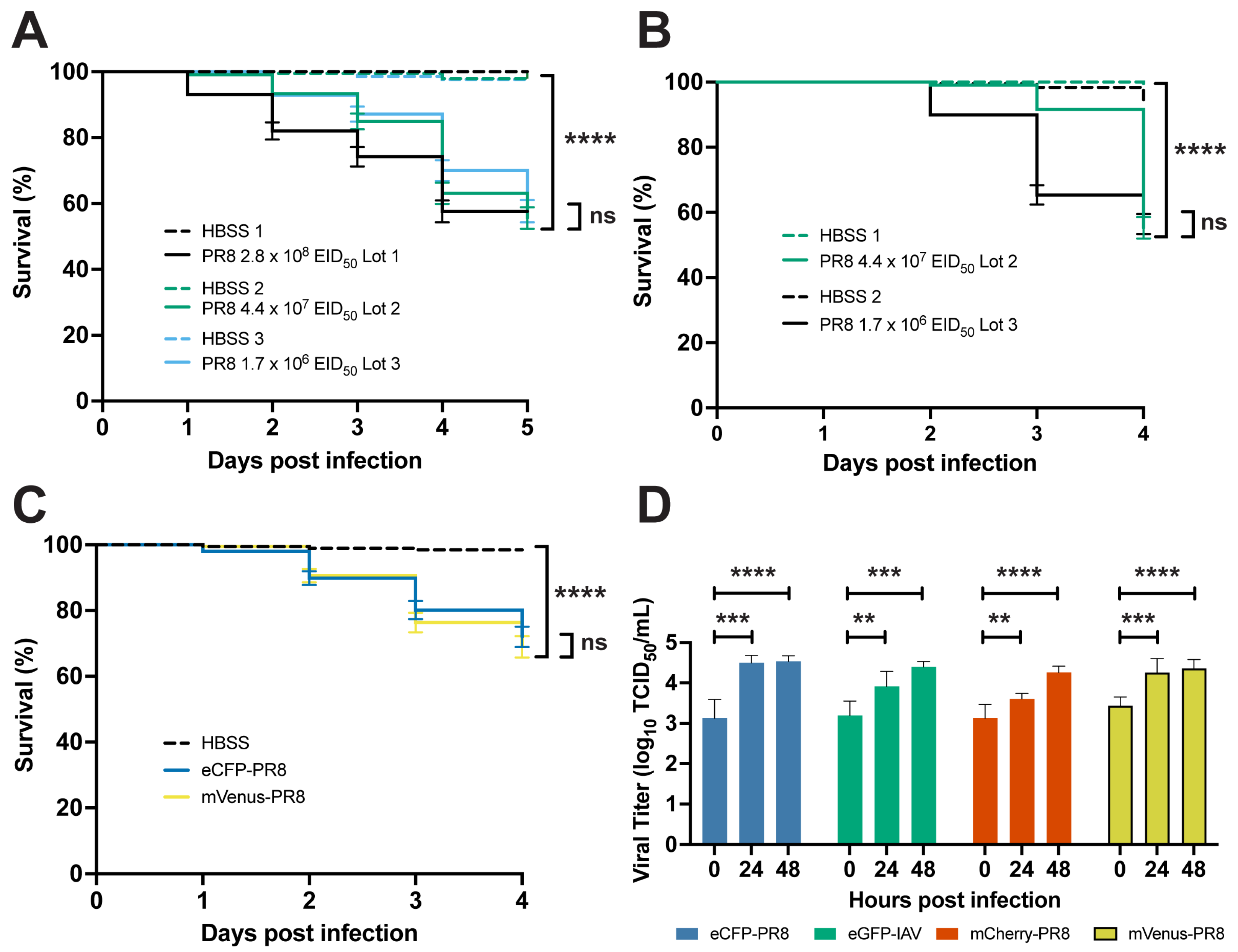 Viruses 16 00155 g001 Viruses 16 00155 g001
