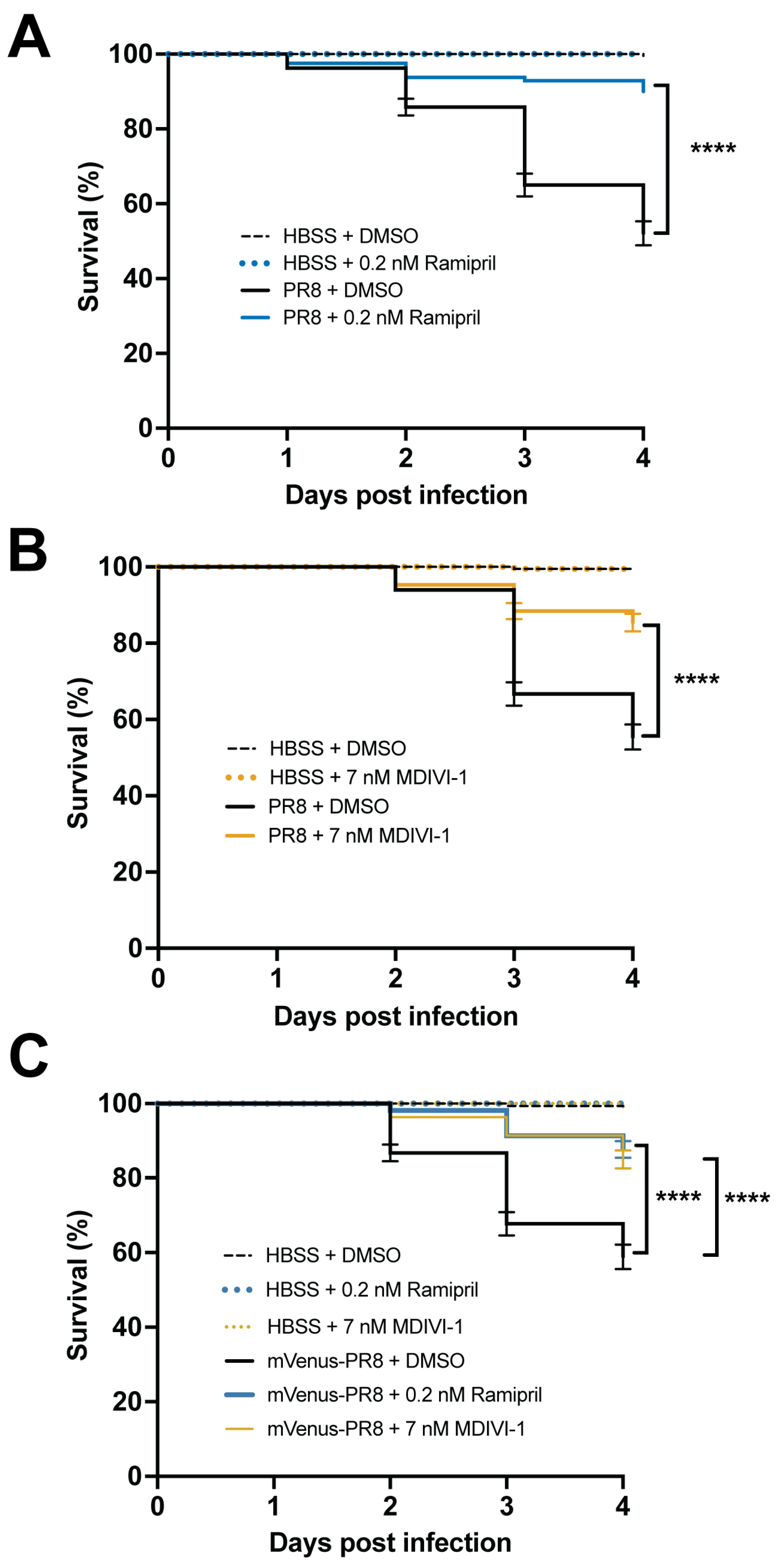 Viruses 16 00155 g004 Viruses 16 00155 g004