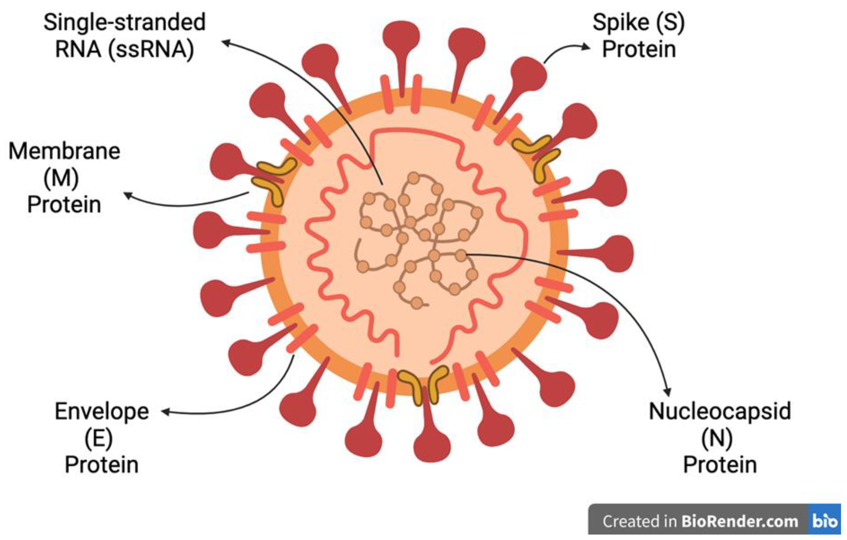 Viruses 16 00156 g004 Viruses 16 00156 g004