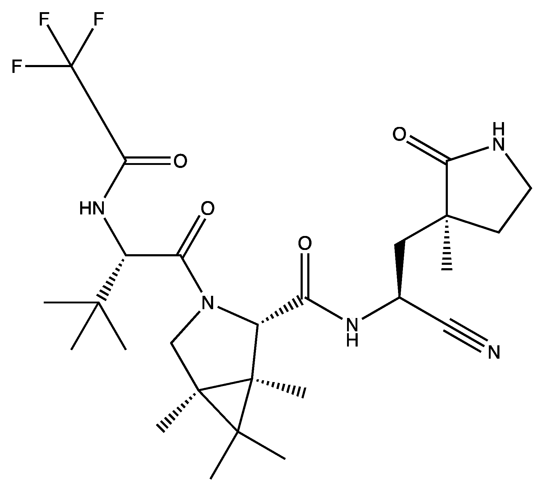 Viruses 16 00156 g008 Viruses 16 00156 g008