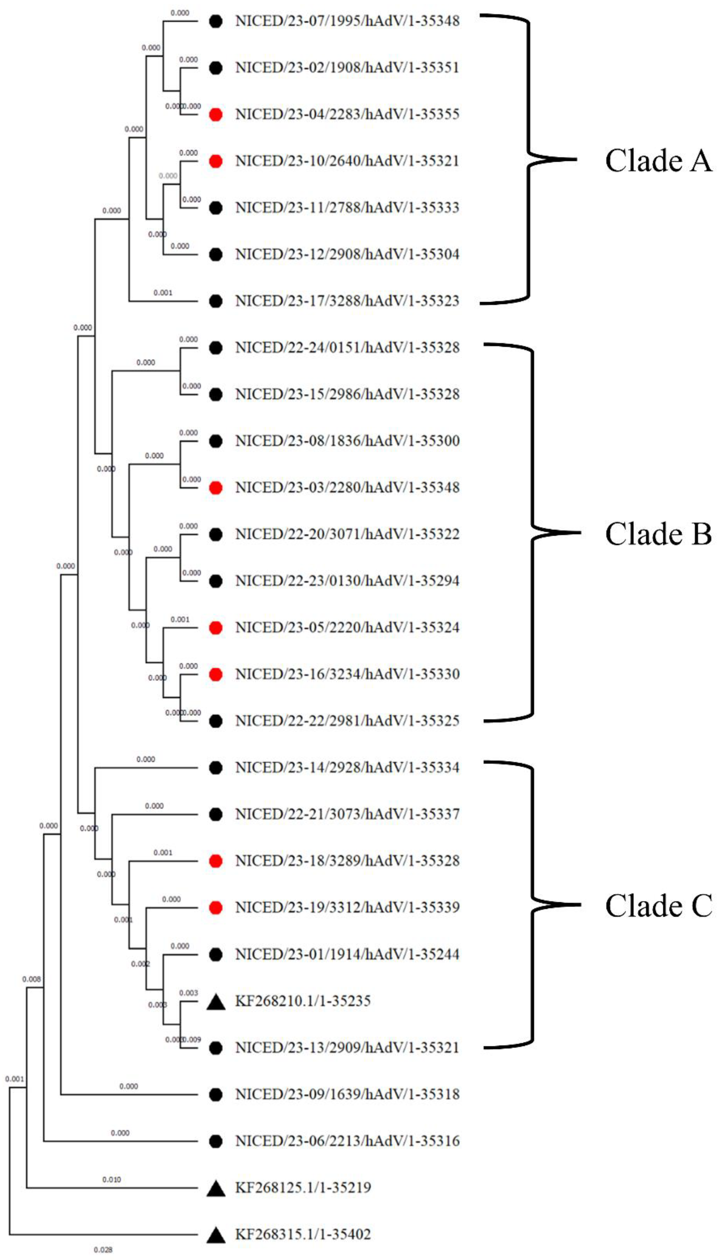 Viruses 16 00159 g001