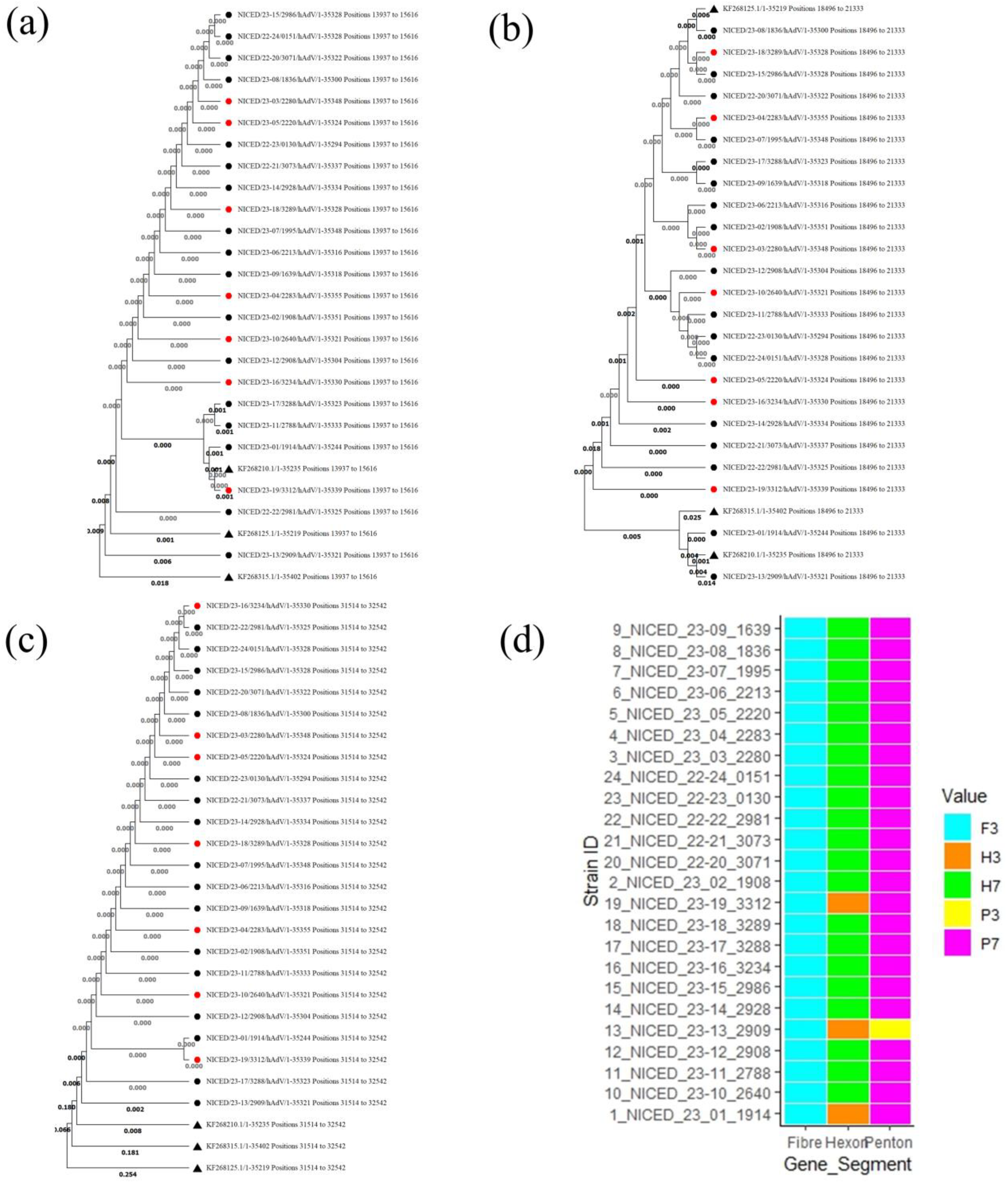 Viruses 16 00159 g002