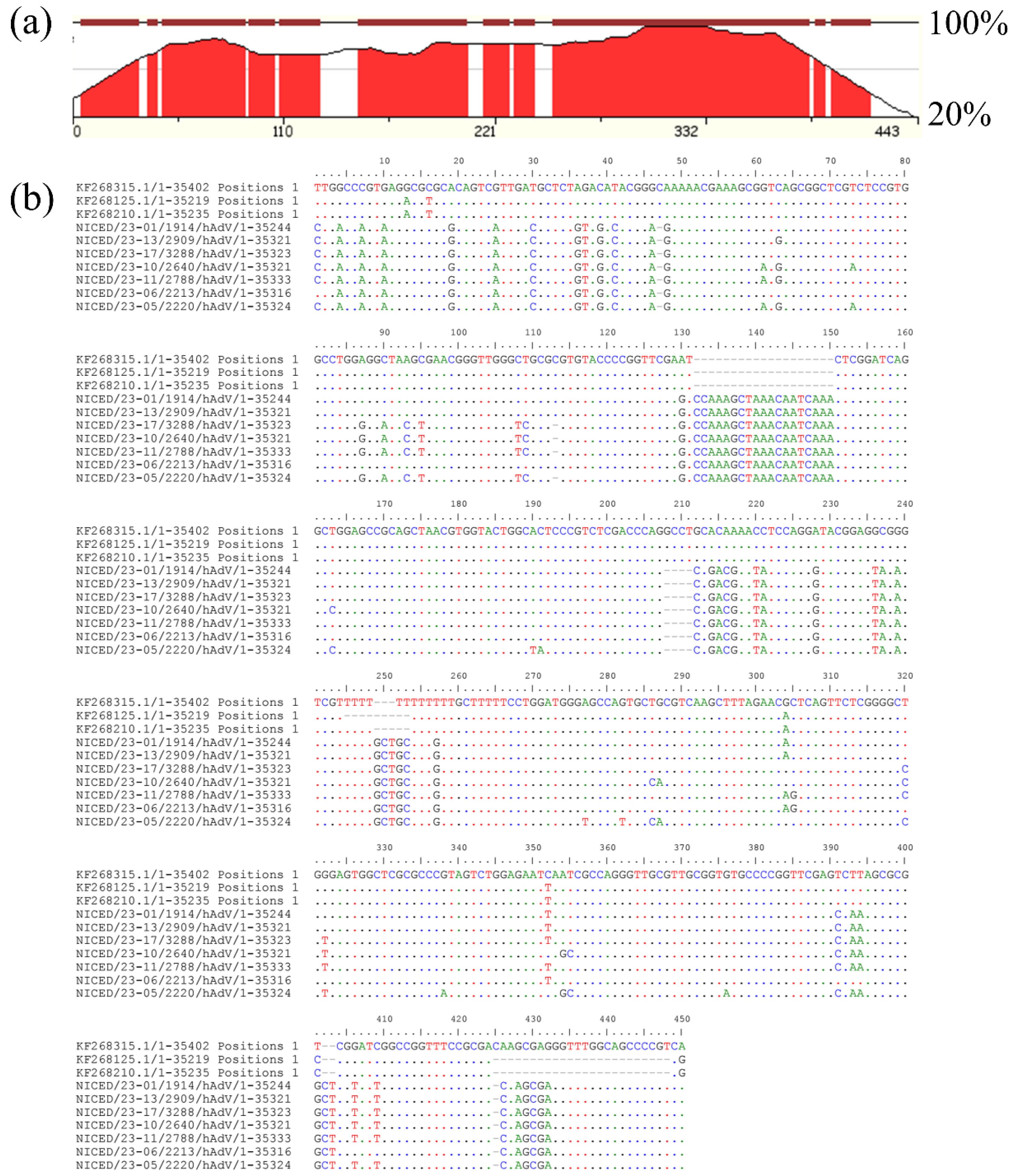 Viruses 16 00159 g003