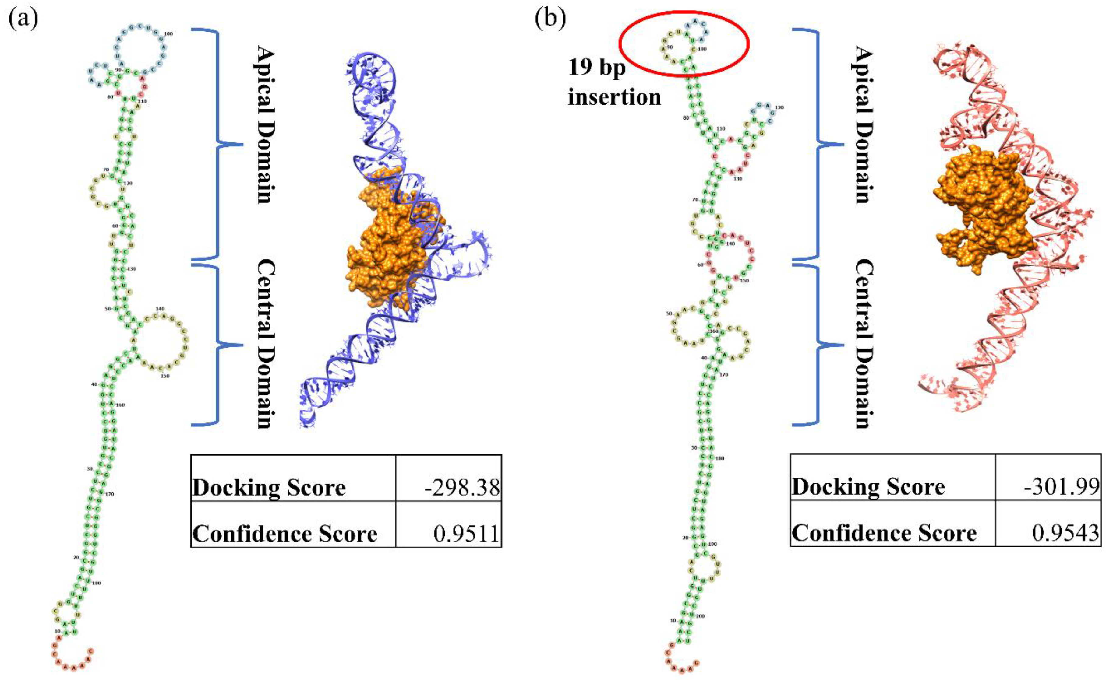 Viruses 16 00159 g004