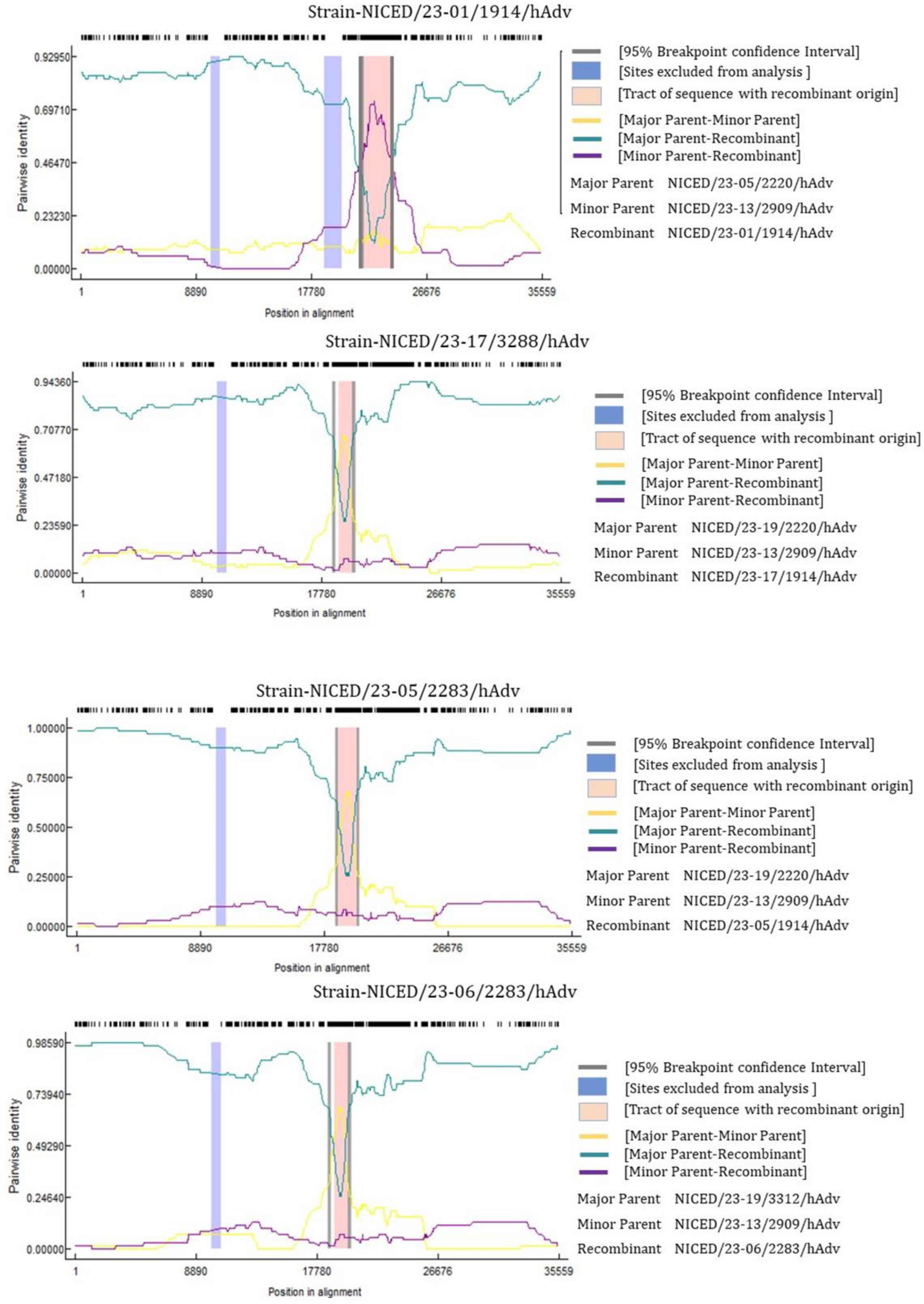 Viruses 16 00159 g007