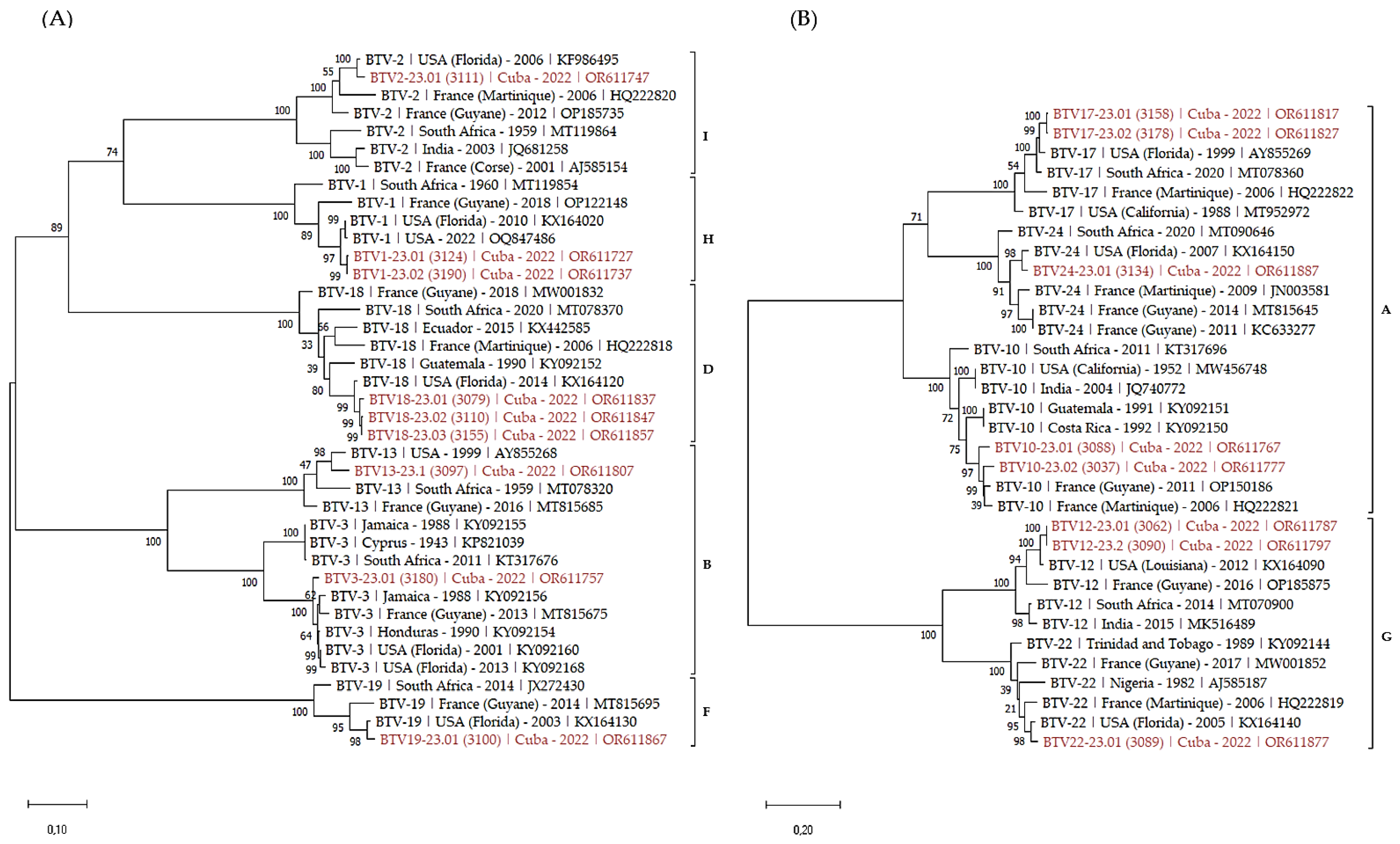 Viruses 16 00164 g002 Viruses 16 00164 g002