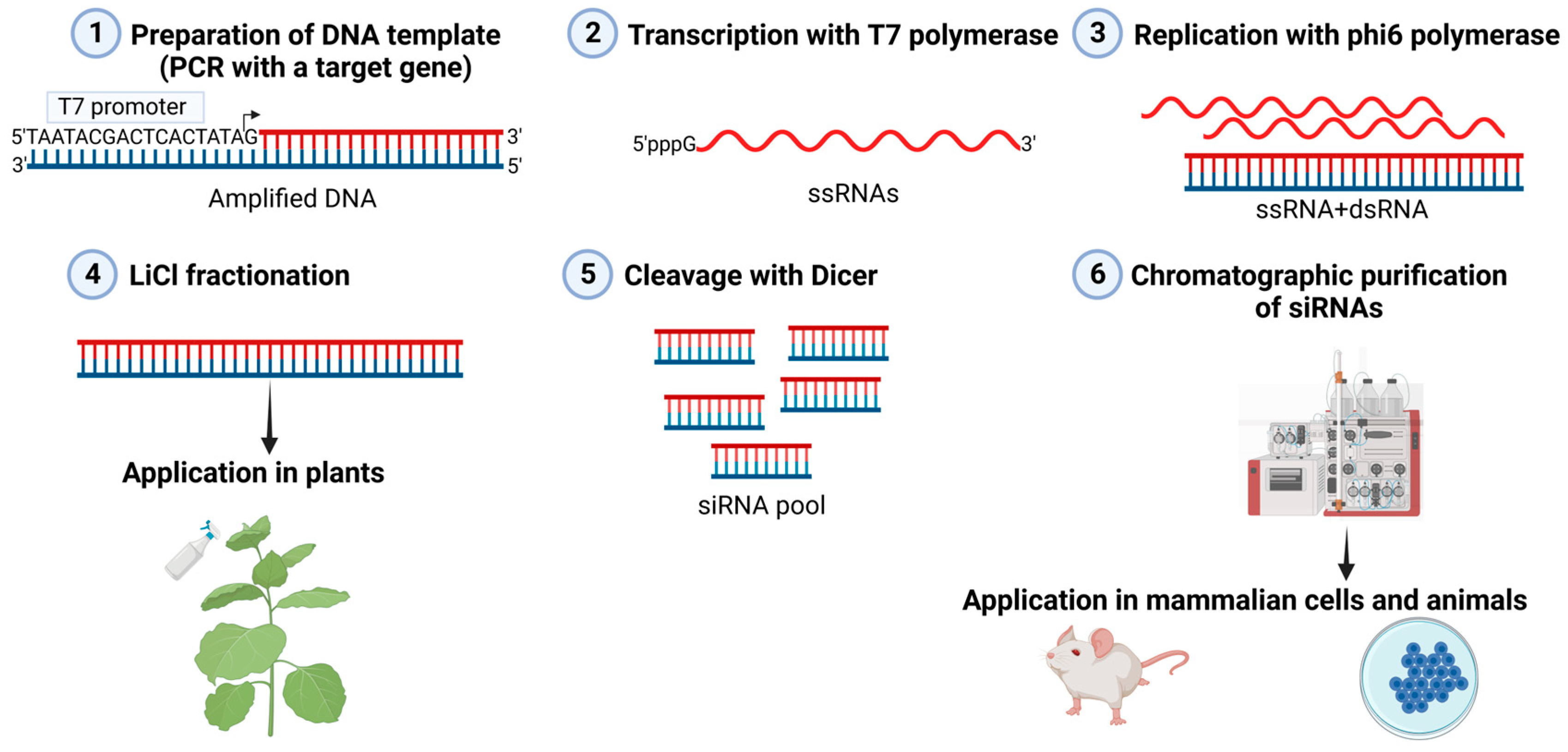 Viruses 16 00166 g002 Viruses 16 00166 g002
