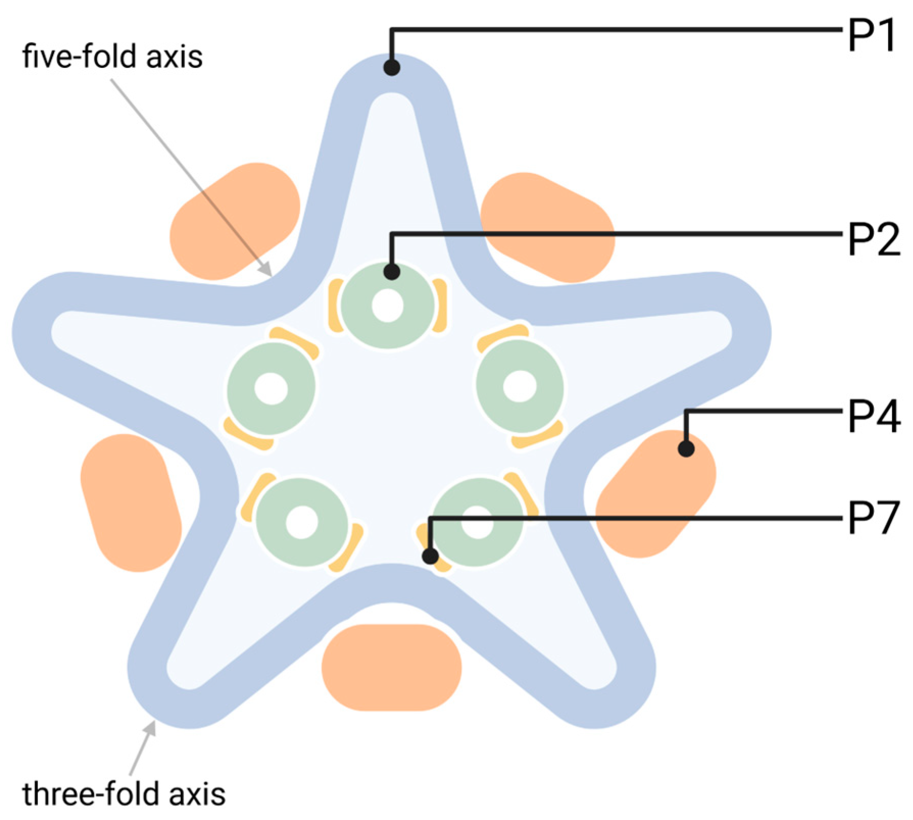 Viruses 16 00166 g003 Viruses 16 00166 g003