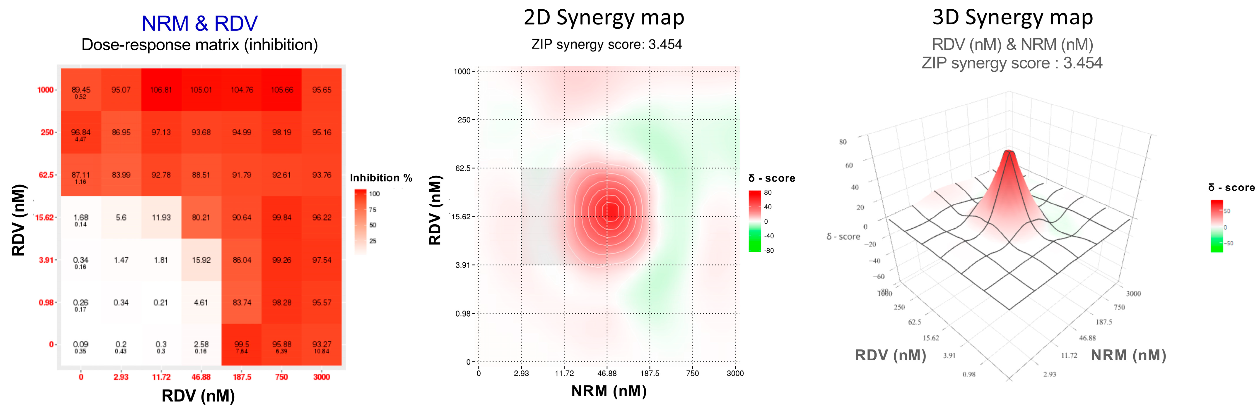 Viruses 16 00168 g001