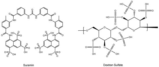 Viruses 16 00169 g003