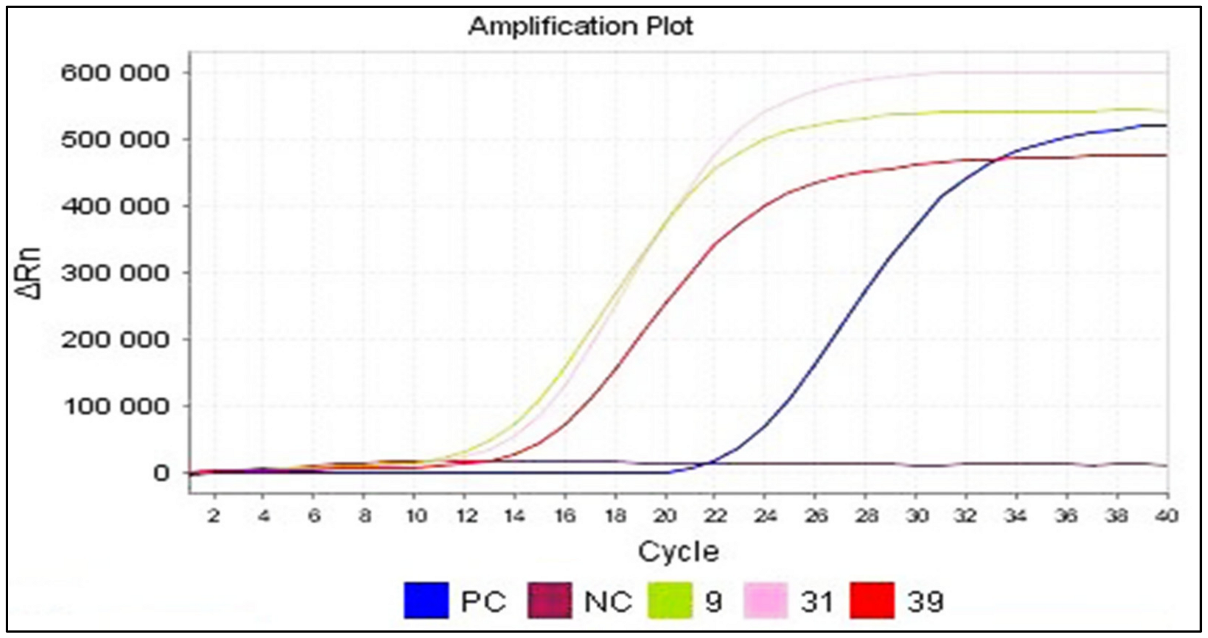 Viruses 16 00170 g005