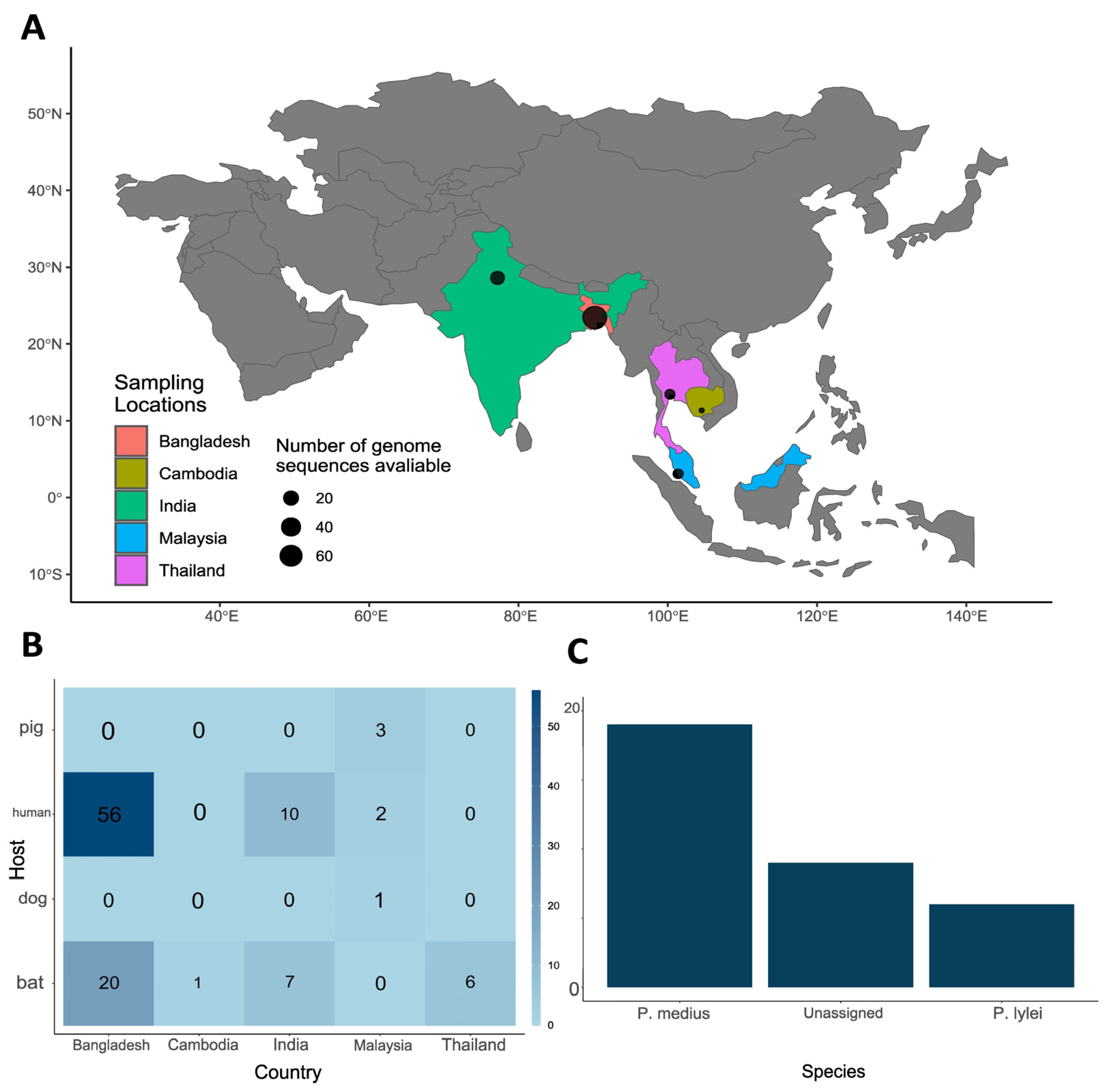 Viruses 16 00171 g002
