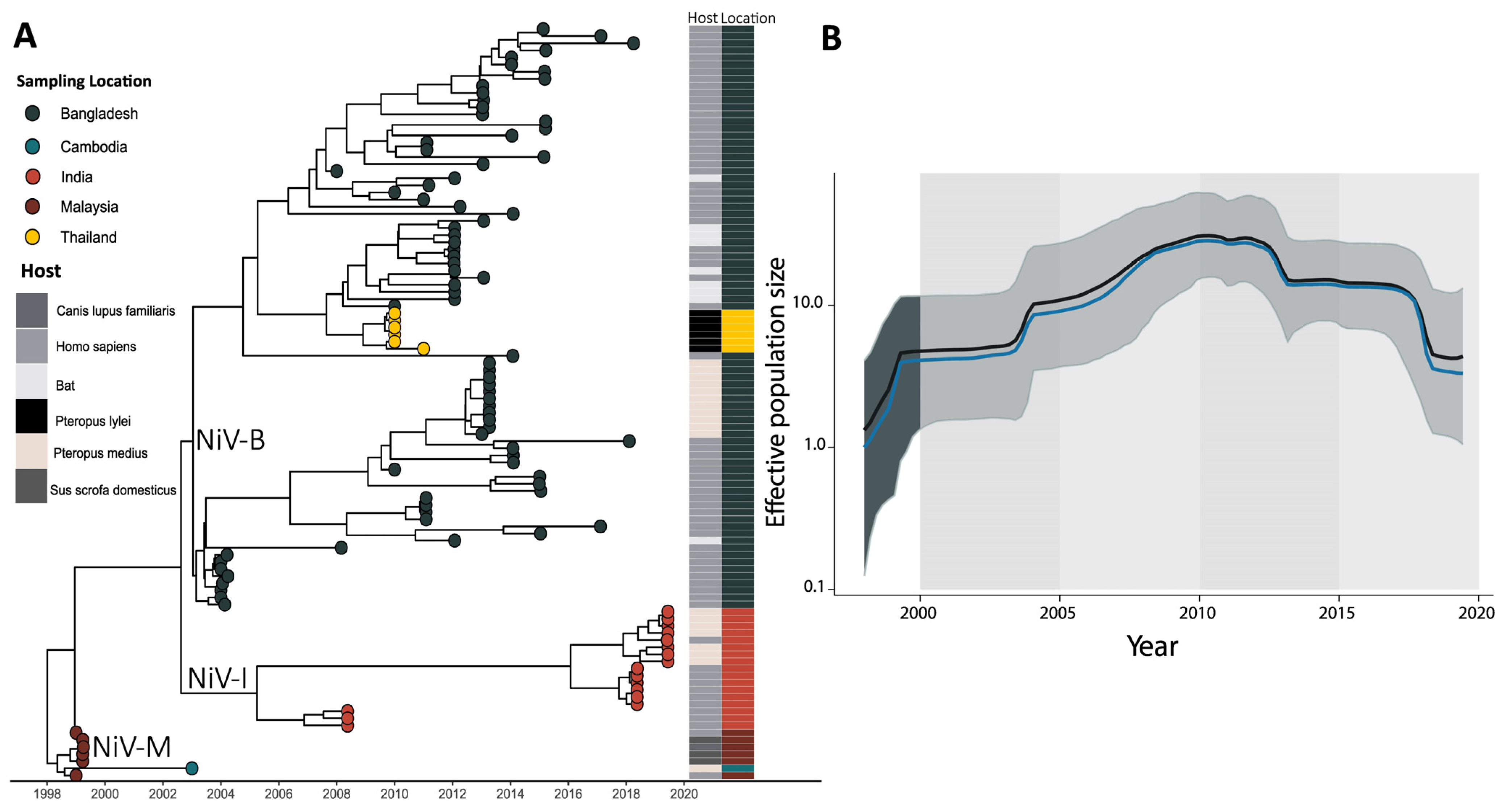 Viruses 16 00171 g003