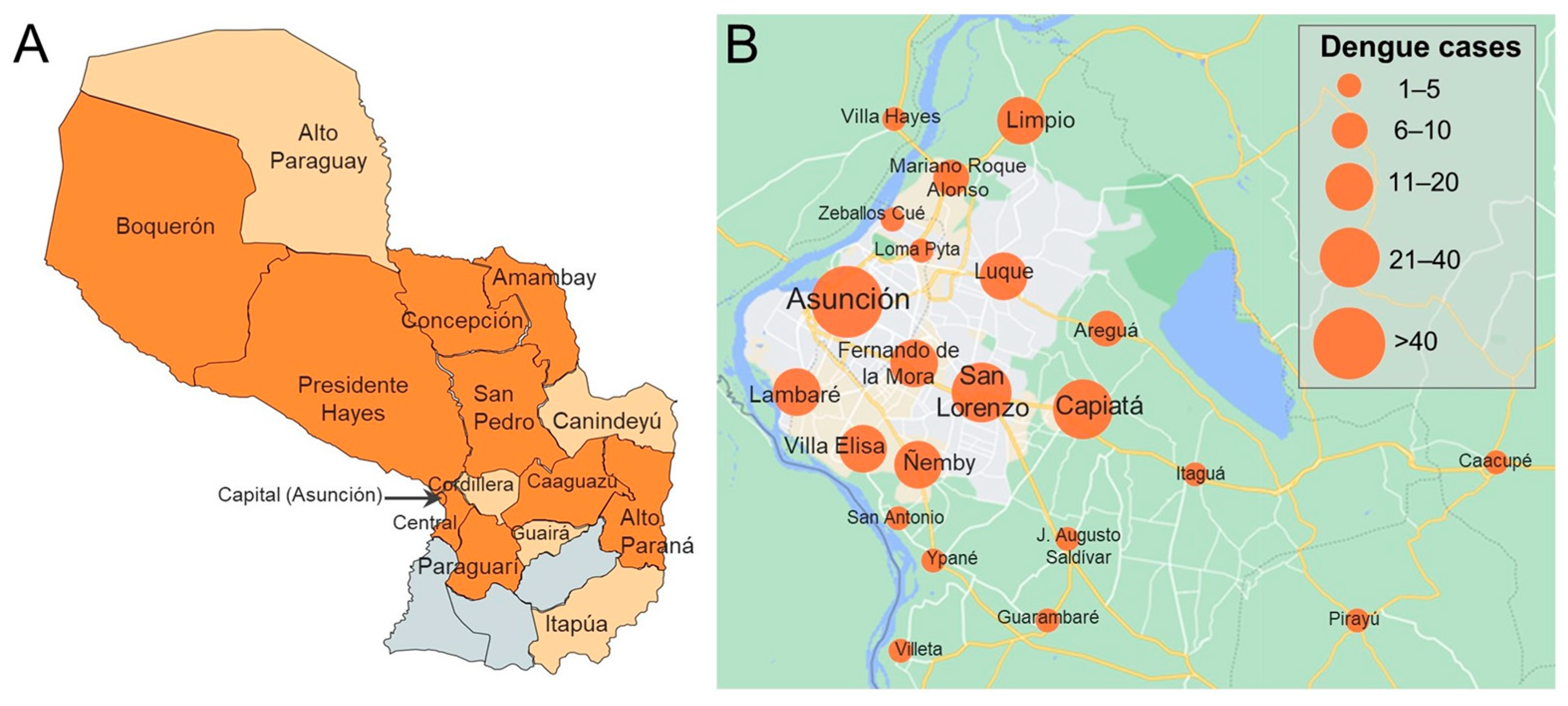 Viruses 16 00181 g002