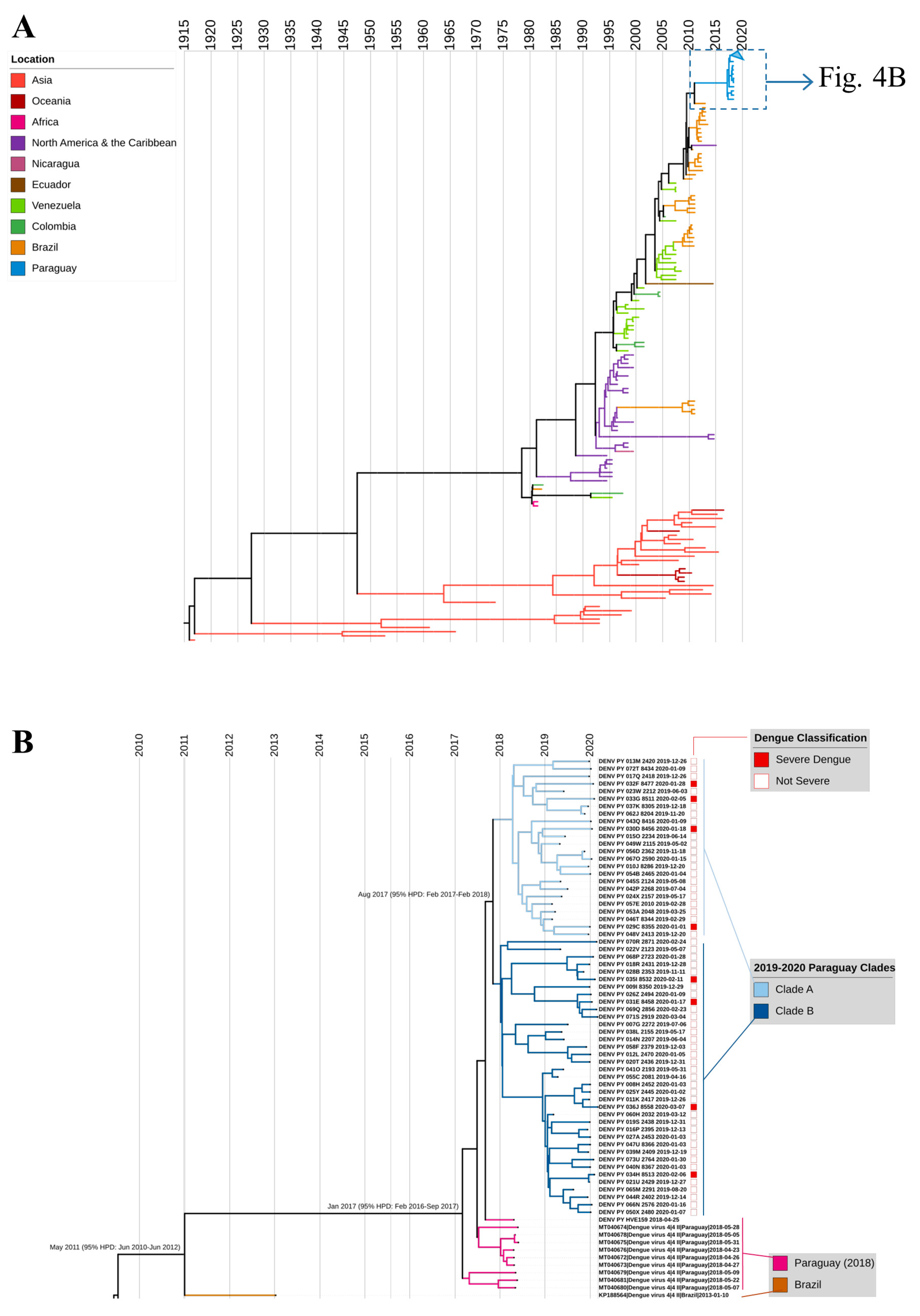 Viruses 16 00181 g004