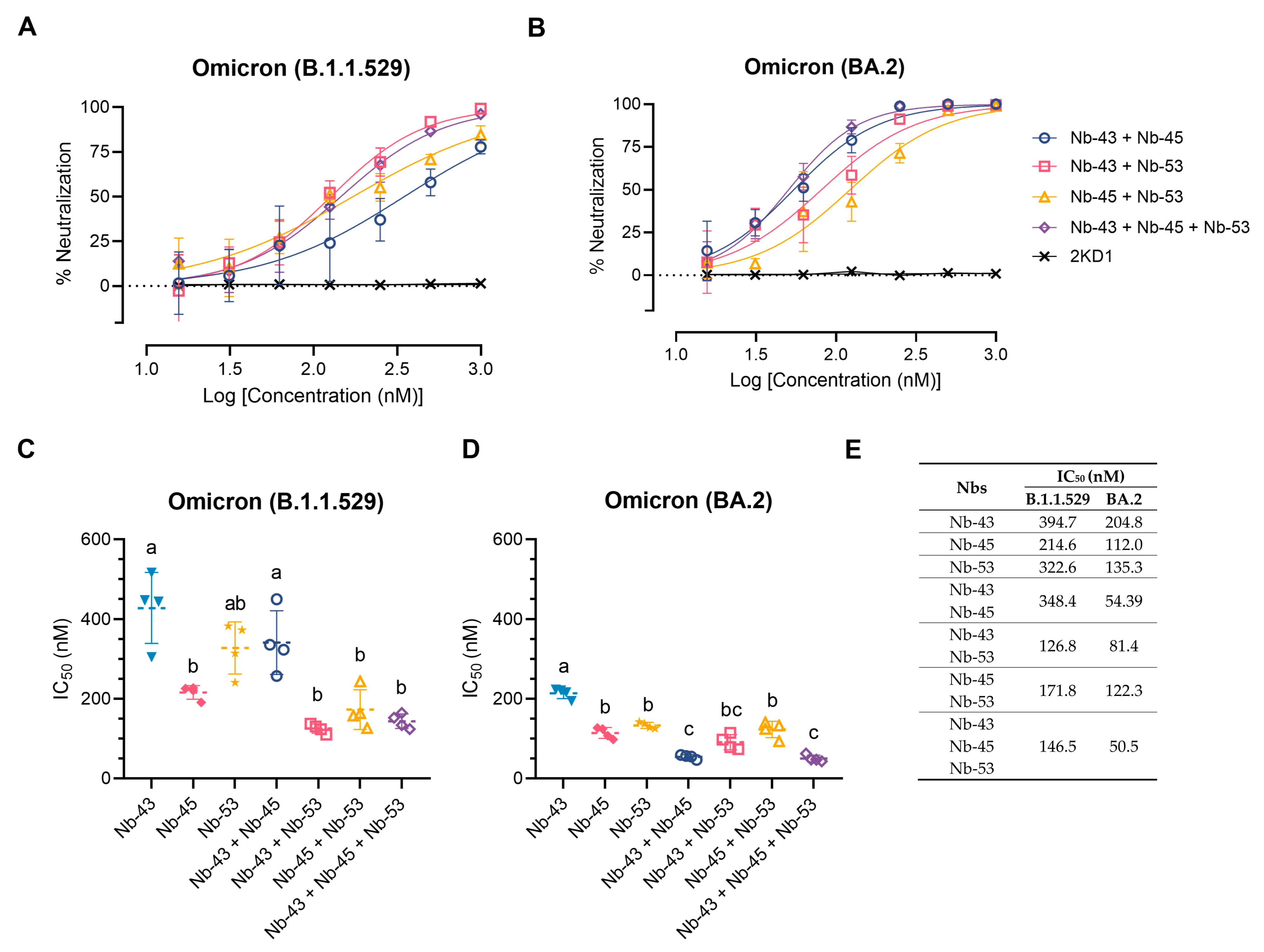 Viruses 16 00185 g008