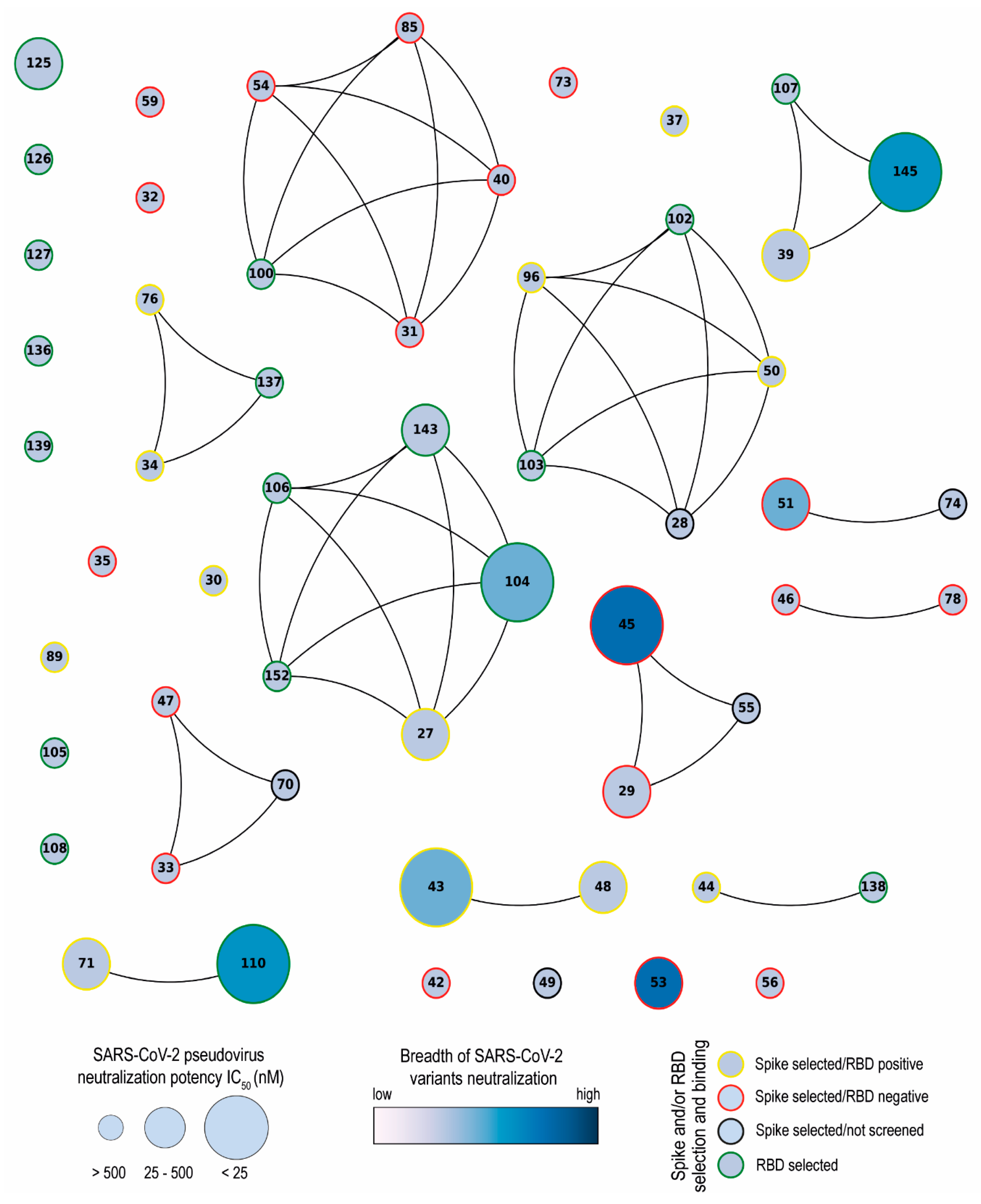 Viruses 16 00185 g010