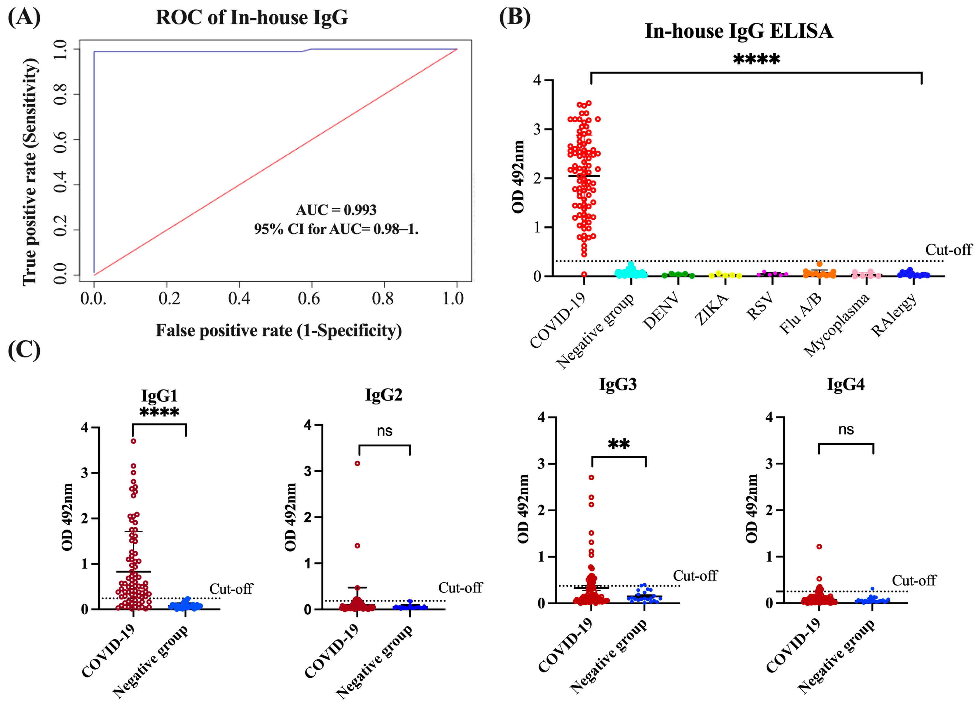 Viruses 16 00187 g001