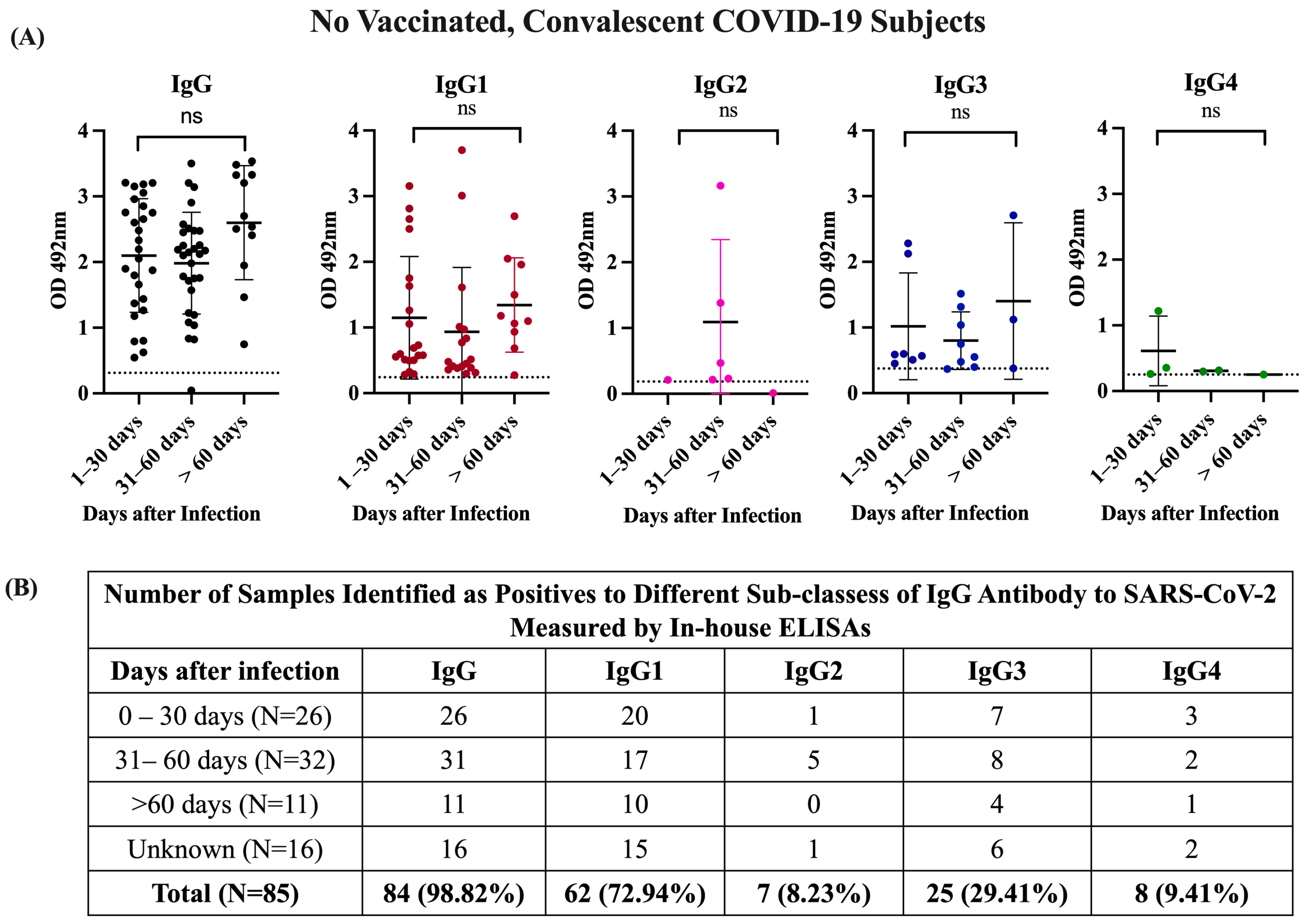Viruses 16 00187 g002