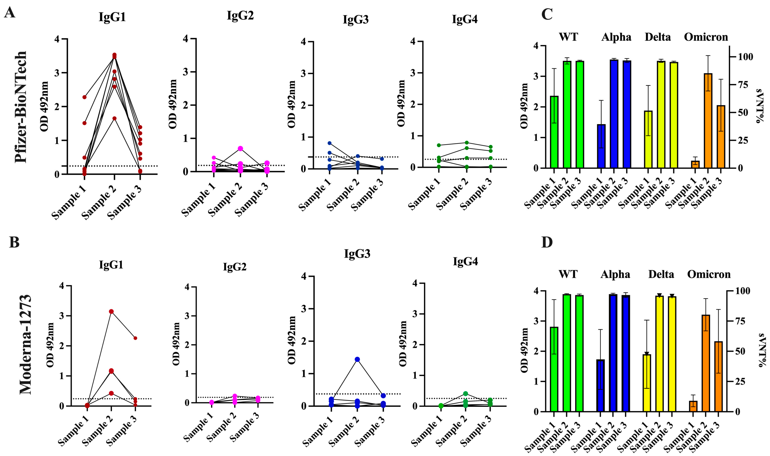 Viruses 16 00187 g004