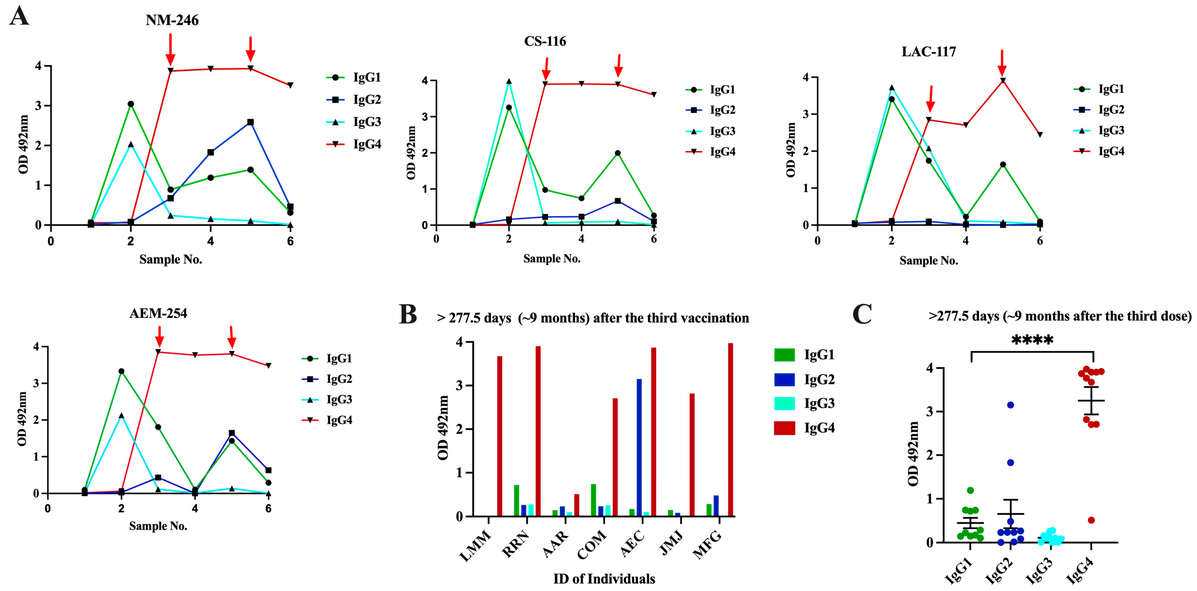 Viruses 16 00187 g005