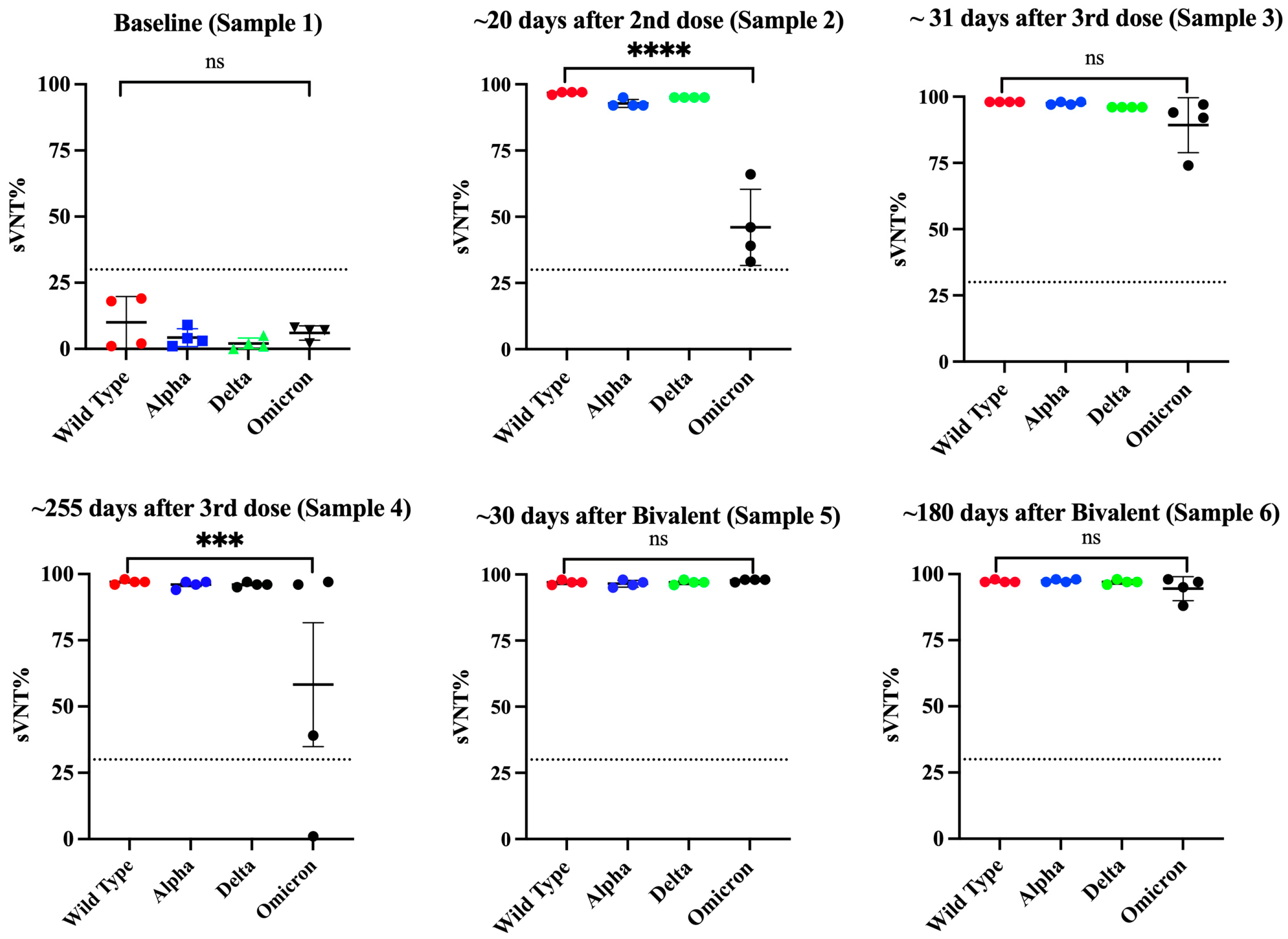 Viruses 16 00187 g006