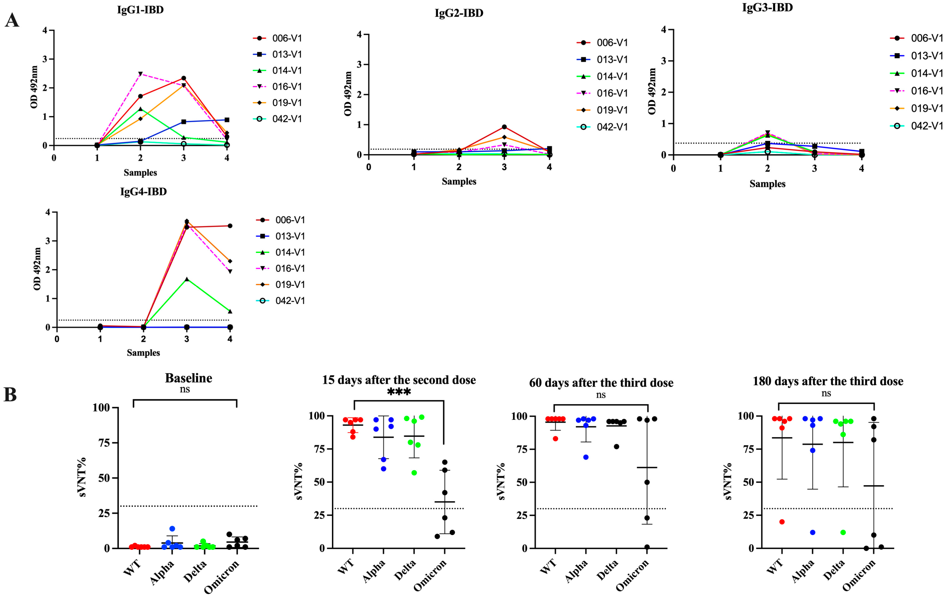 Viruses 16 00187 g007