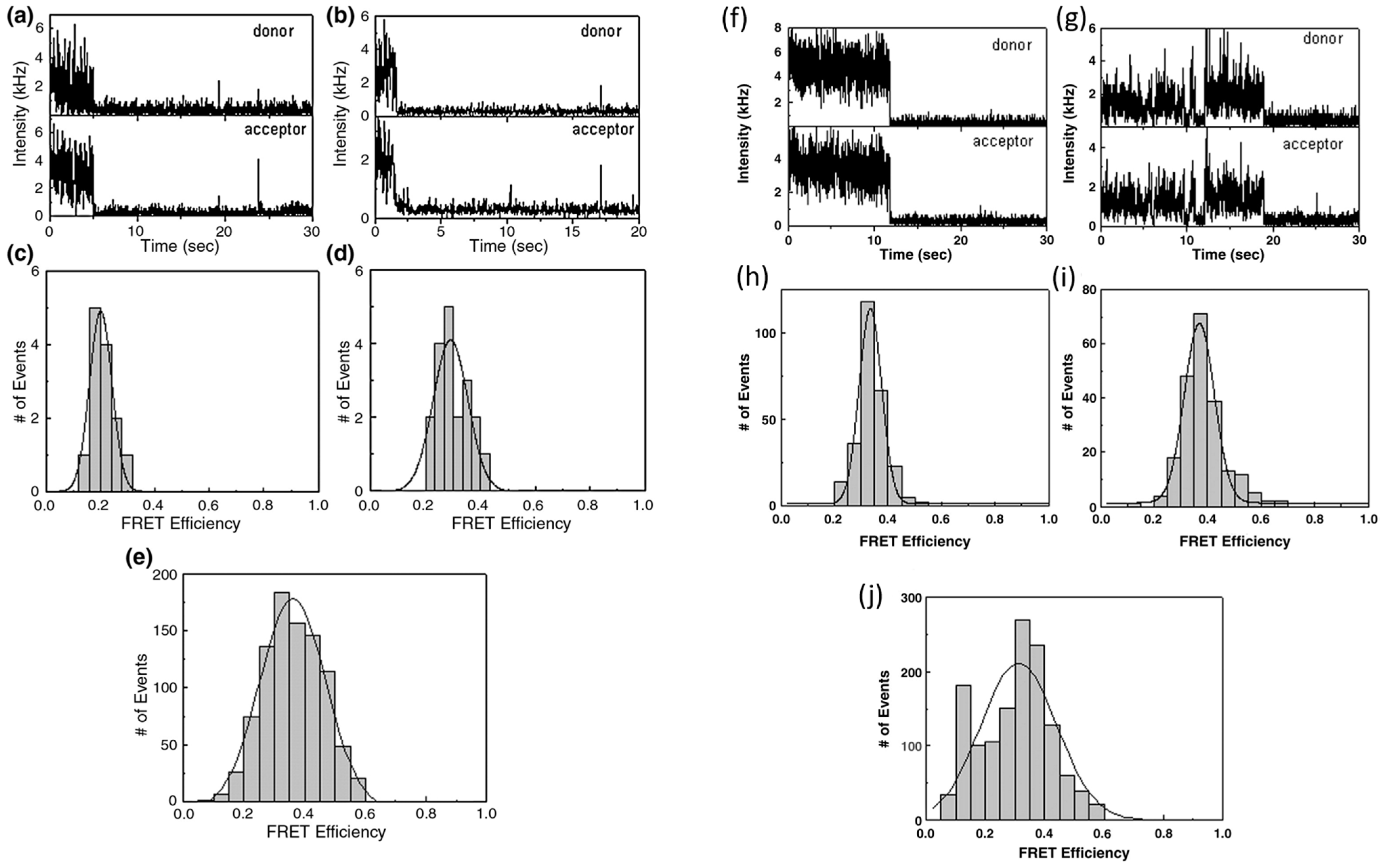 Viruses 16 00192 g002 Viruses 16 00192 g002