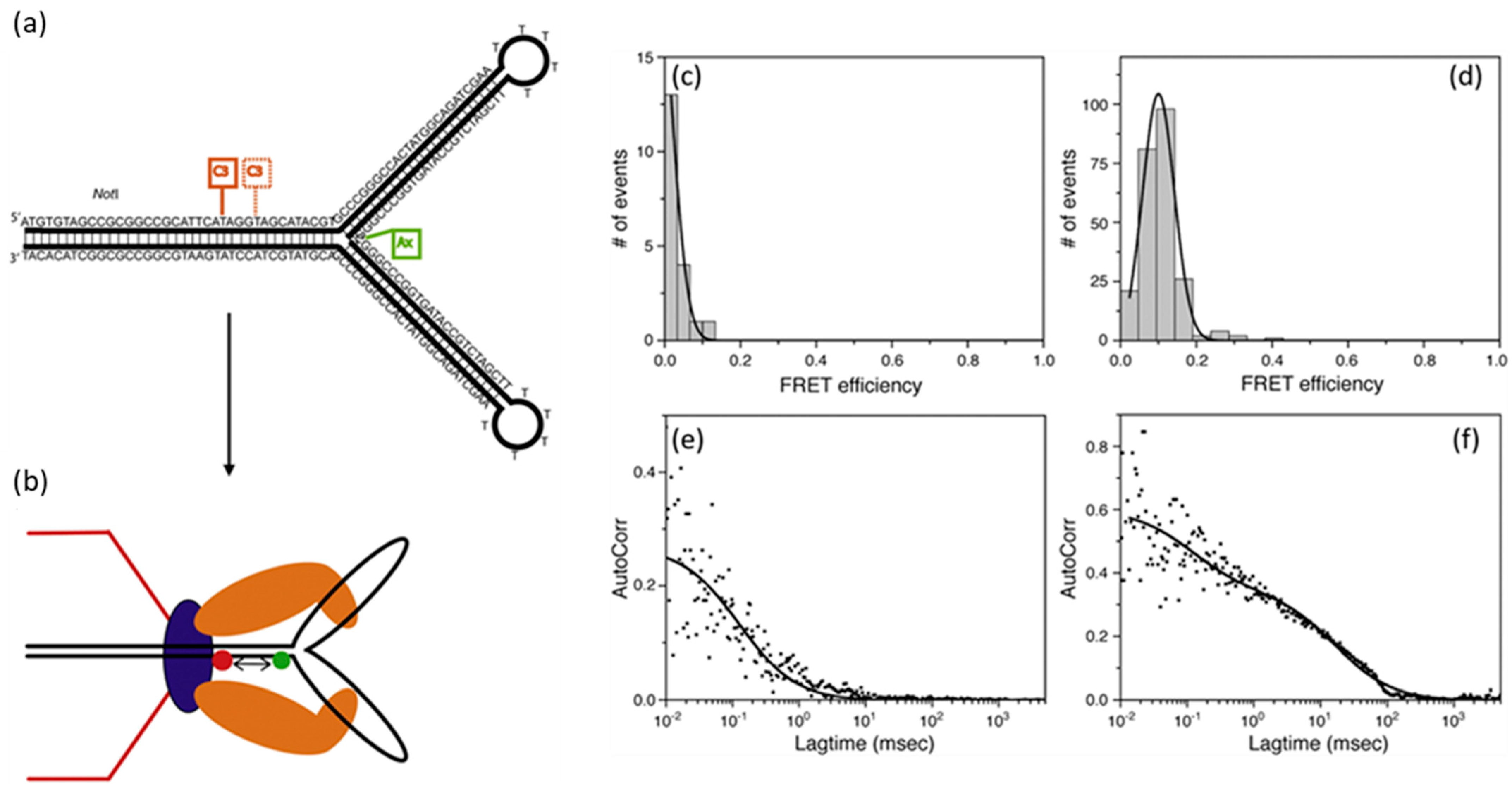 Viruses 16 00192 g004 Viruses 16 00192 g004