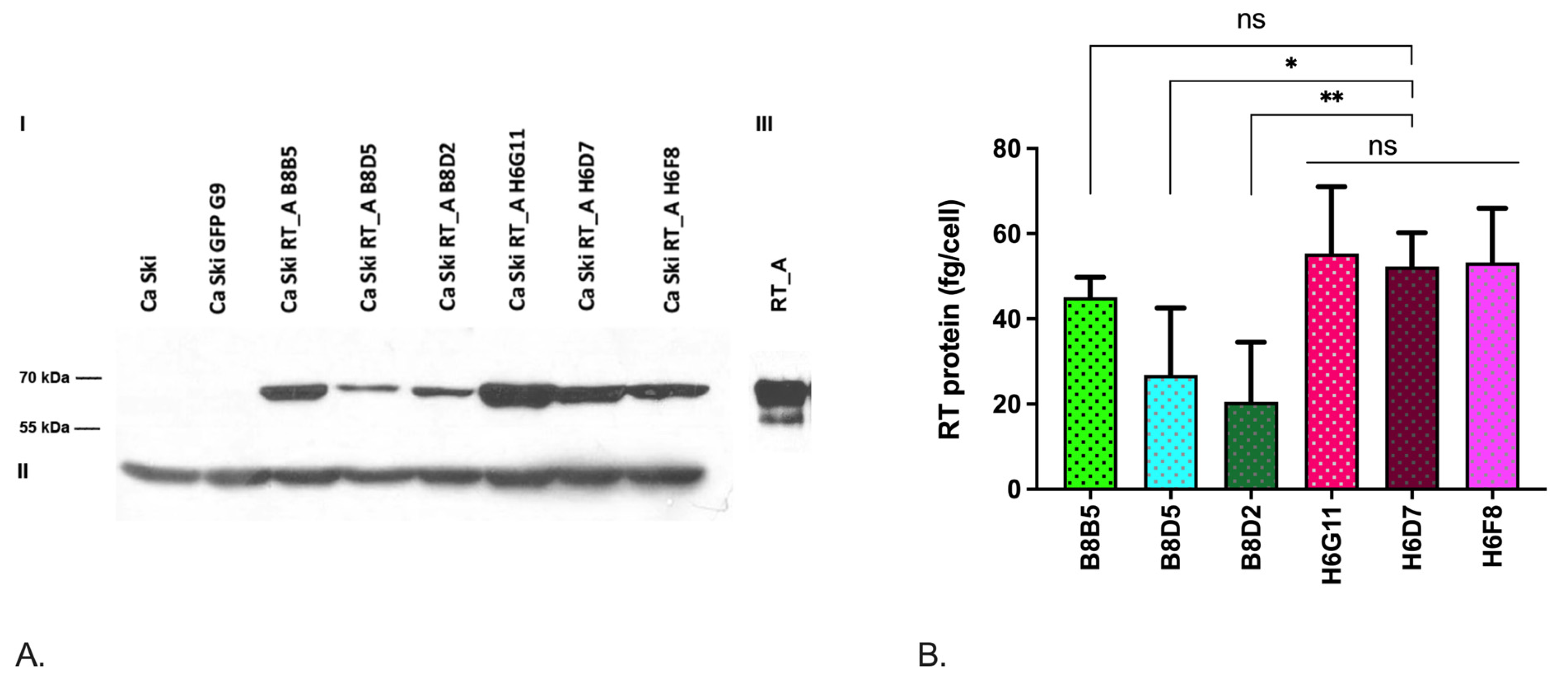 Viruses 16 00193 g002