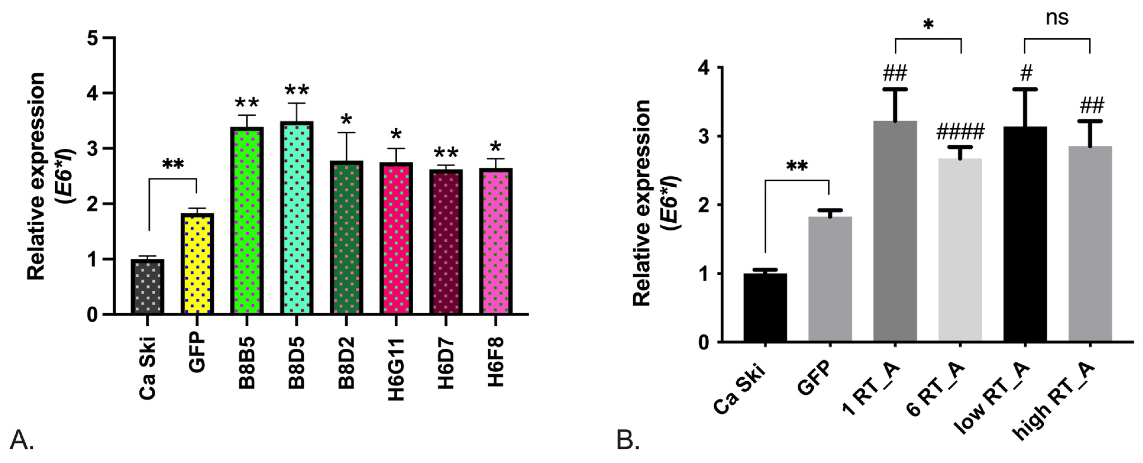 Viruses 16 00193 g003