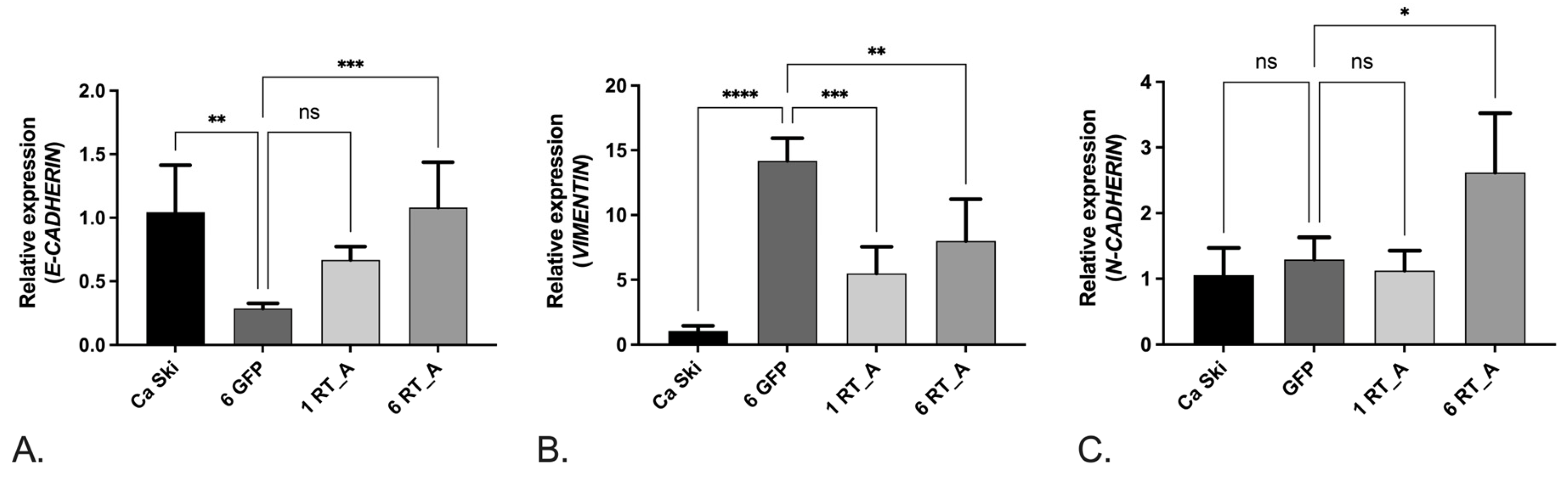 Viruses 16 00193 g008