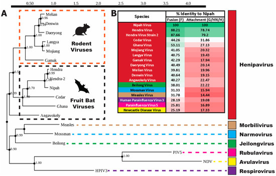 Viruses 16 00195 g002