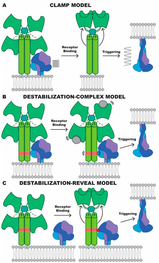 Viruses 16 00195 g006