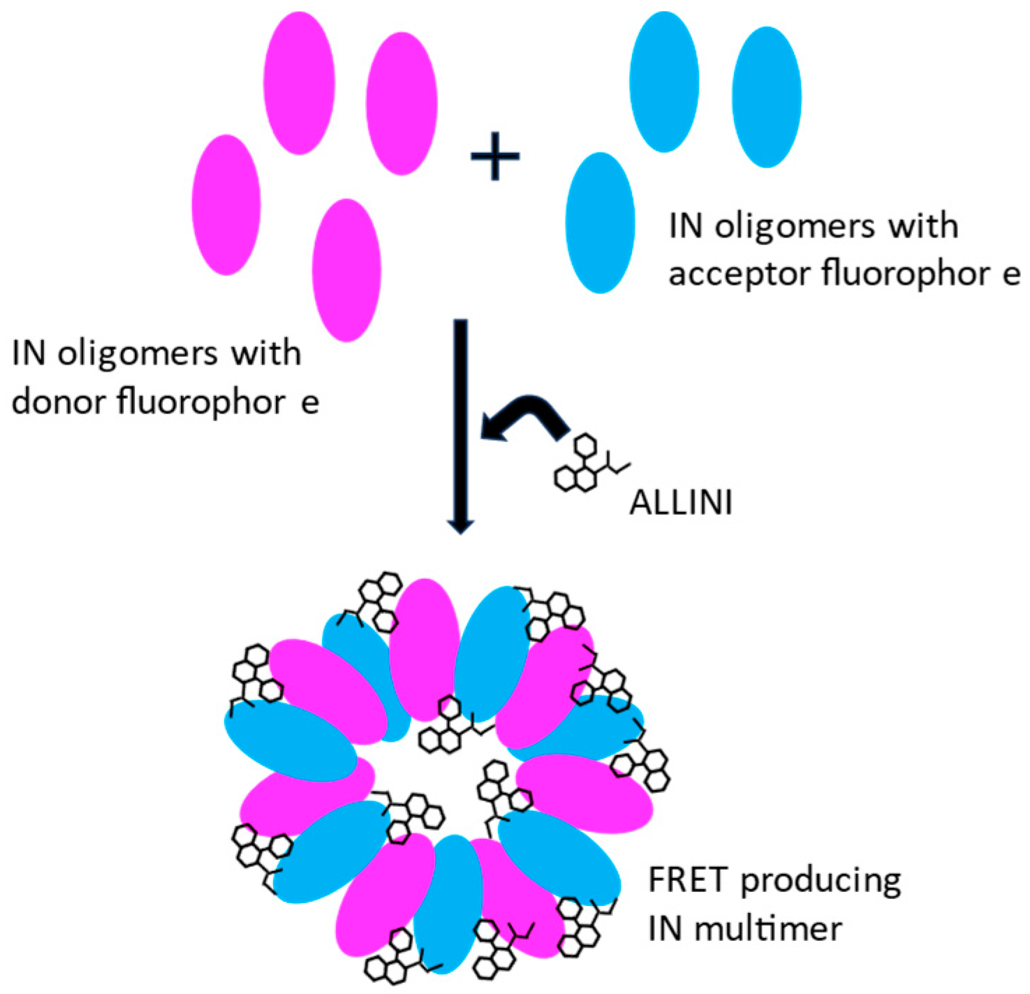 Viruses 16 00200 g004