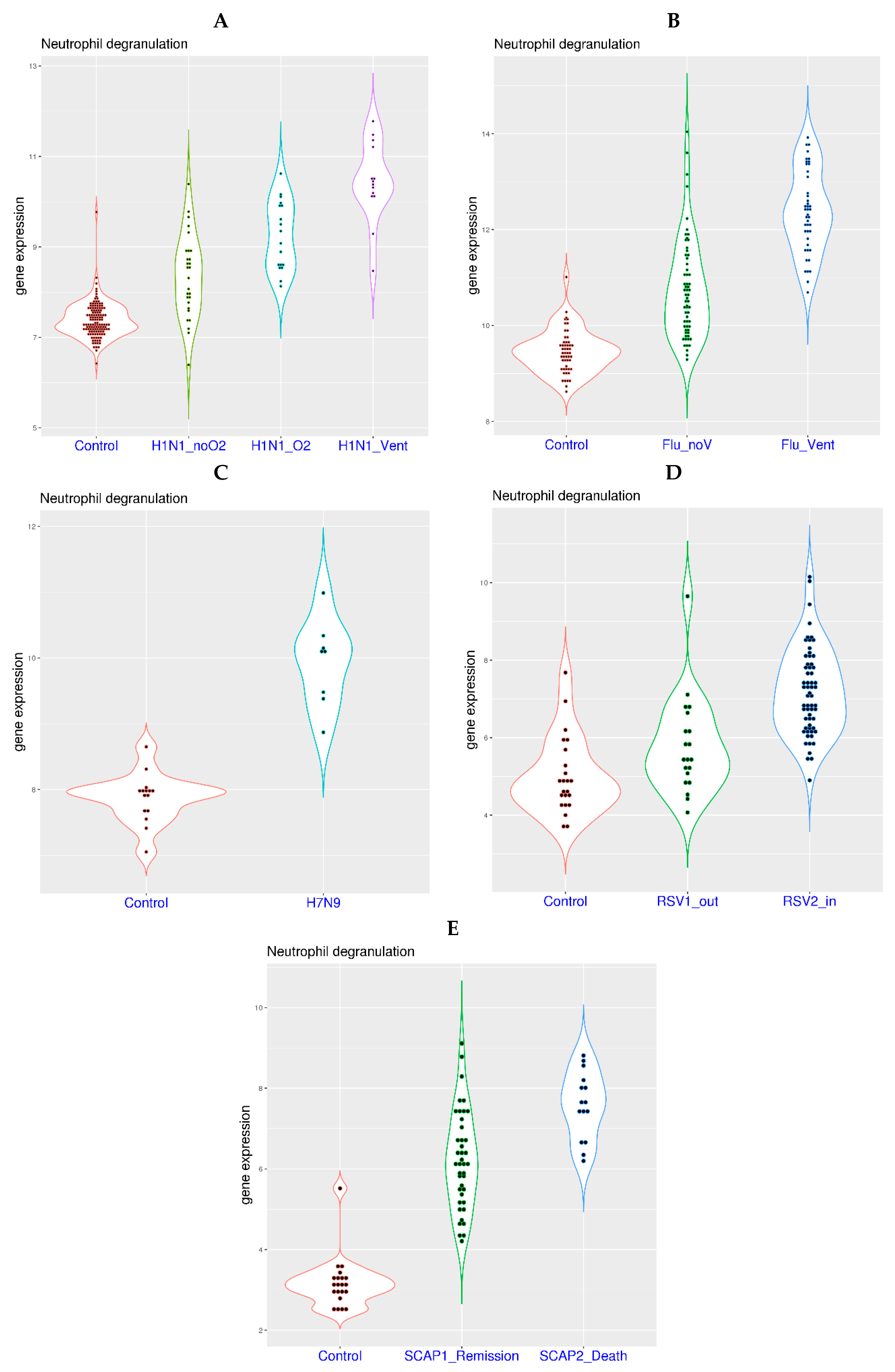 Viruses 16 00201 g003