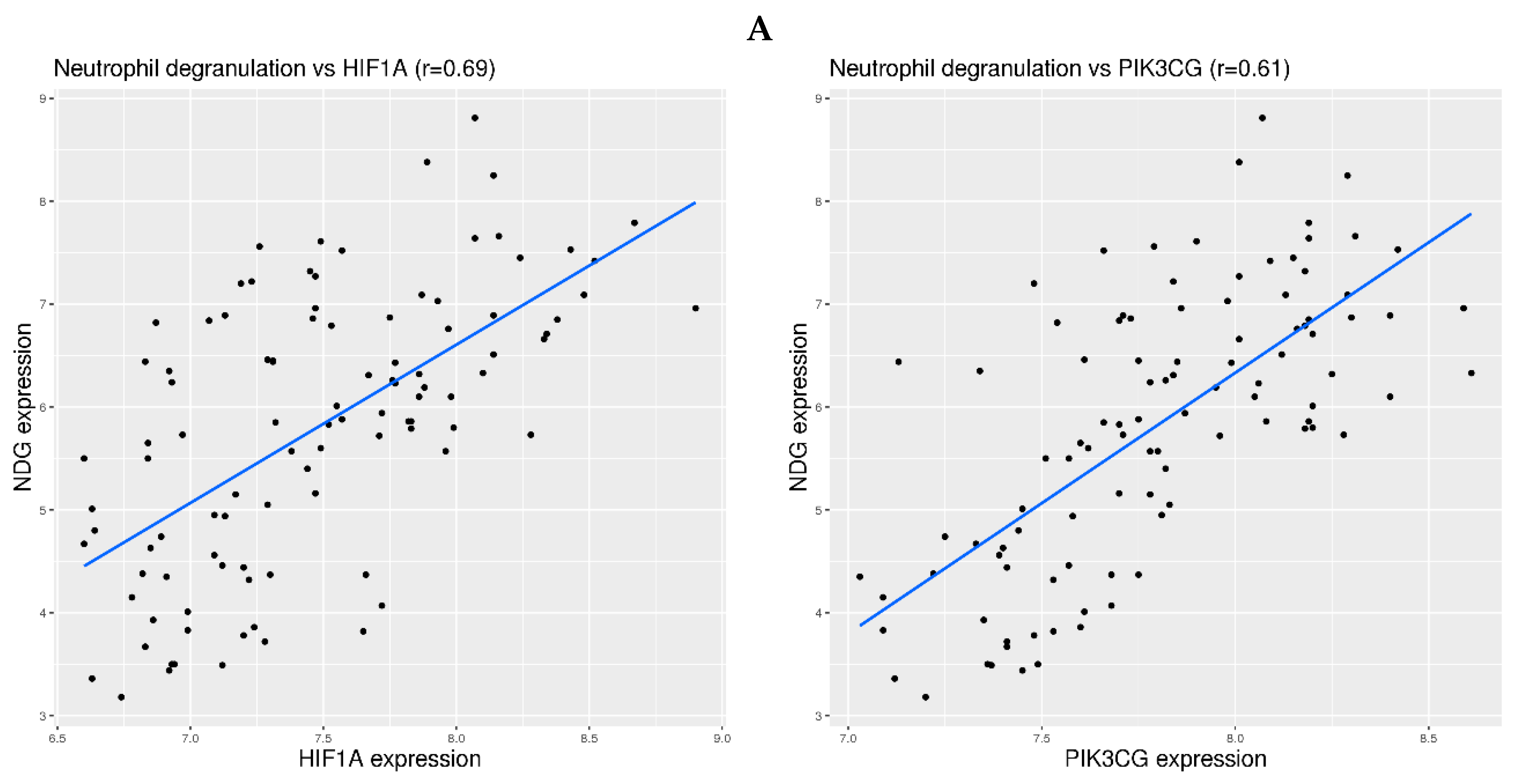 Viruses 16 00201 g005a