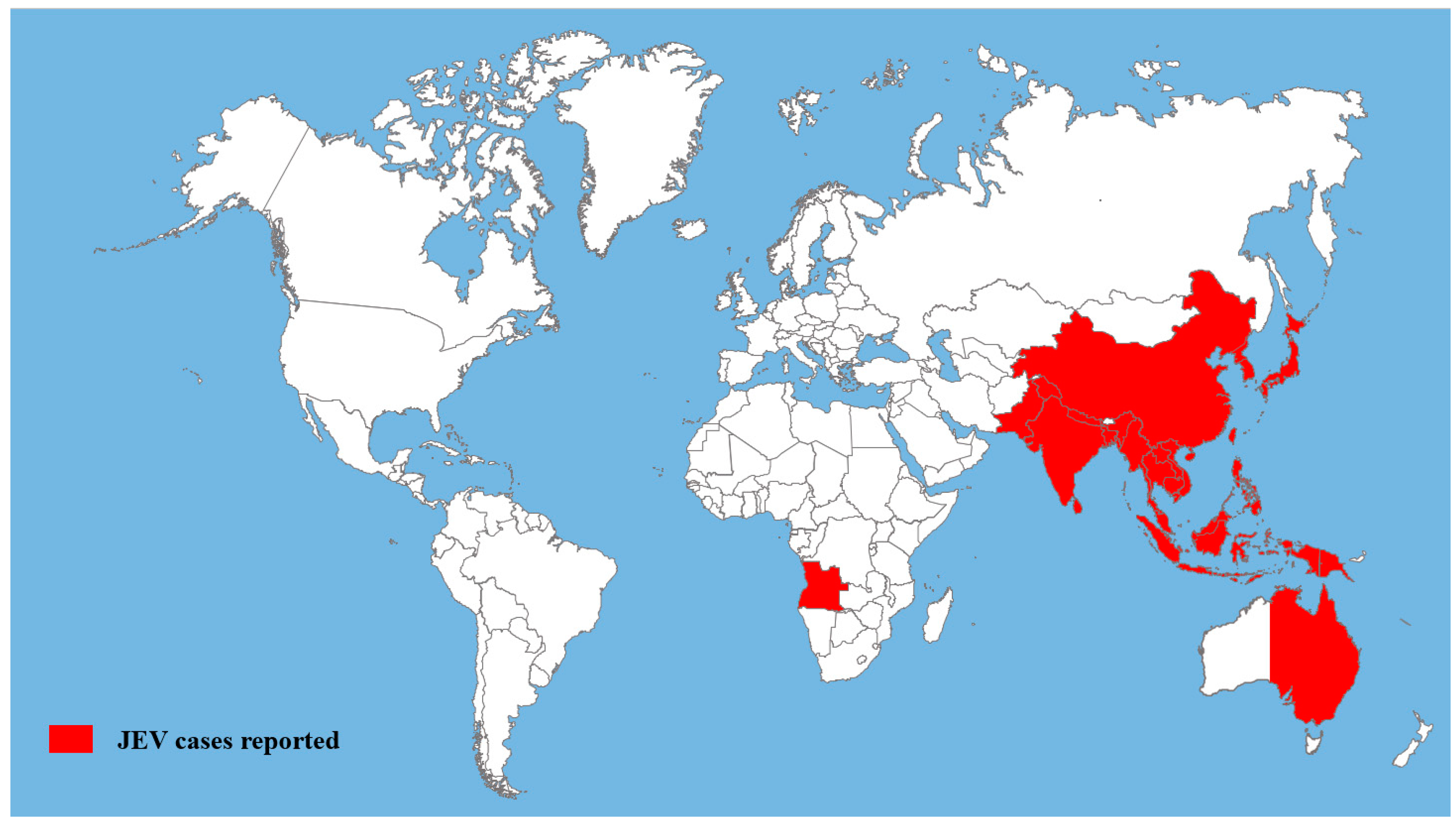 Viruses 16 00202 g001