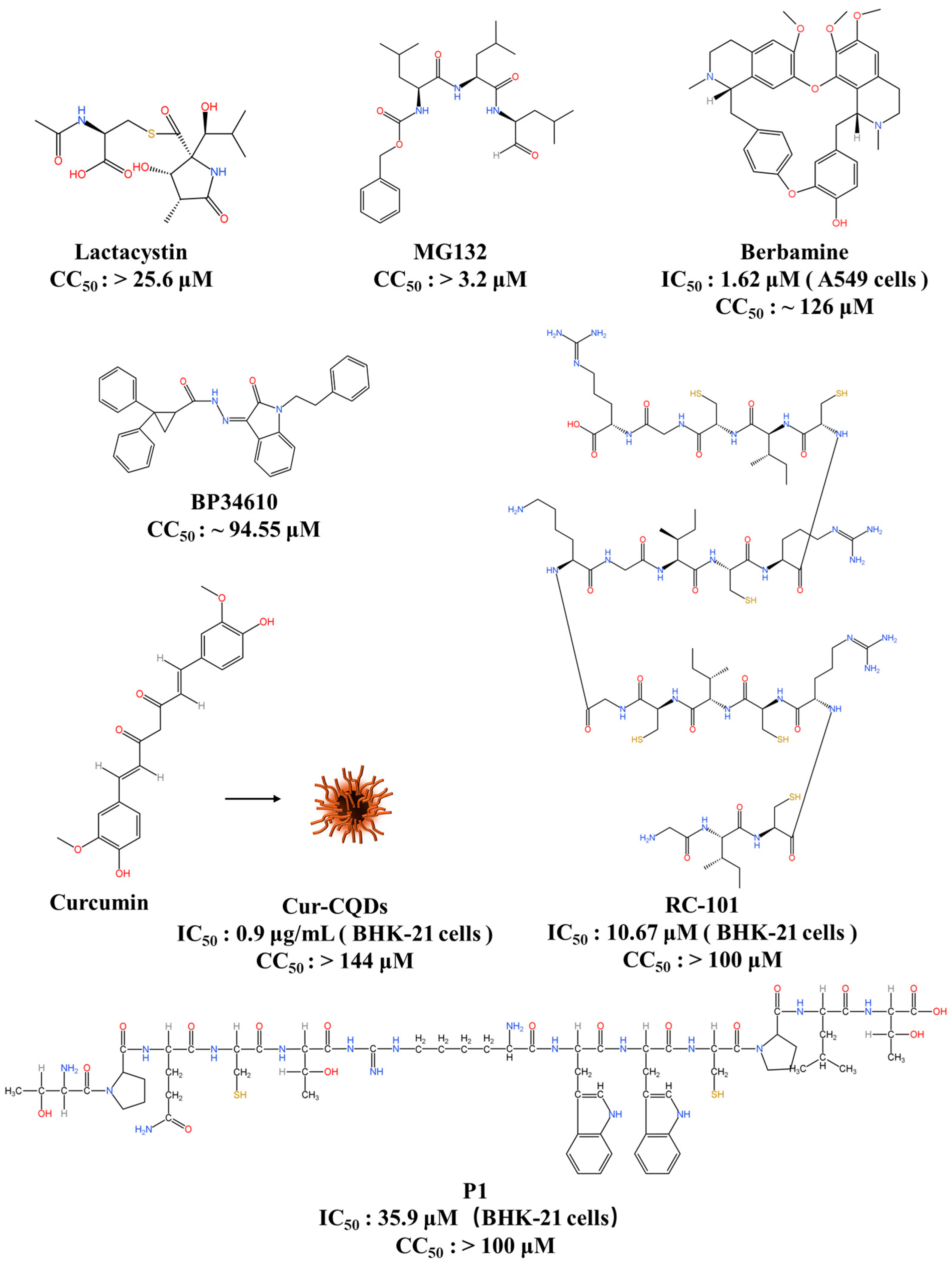 Viruses 16 00202 g004