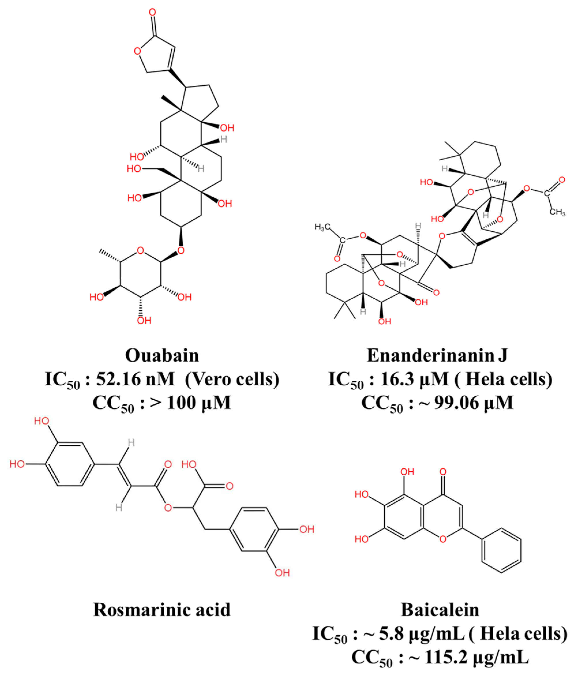 Viruses 16 00202 g007