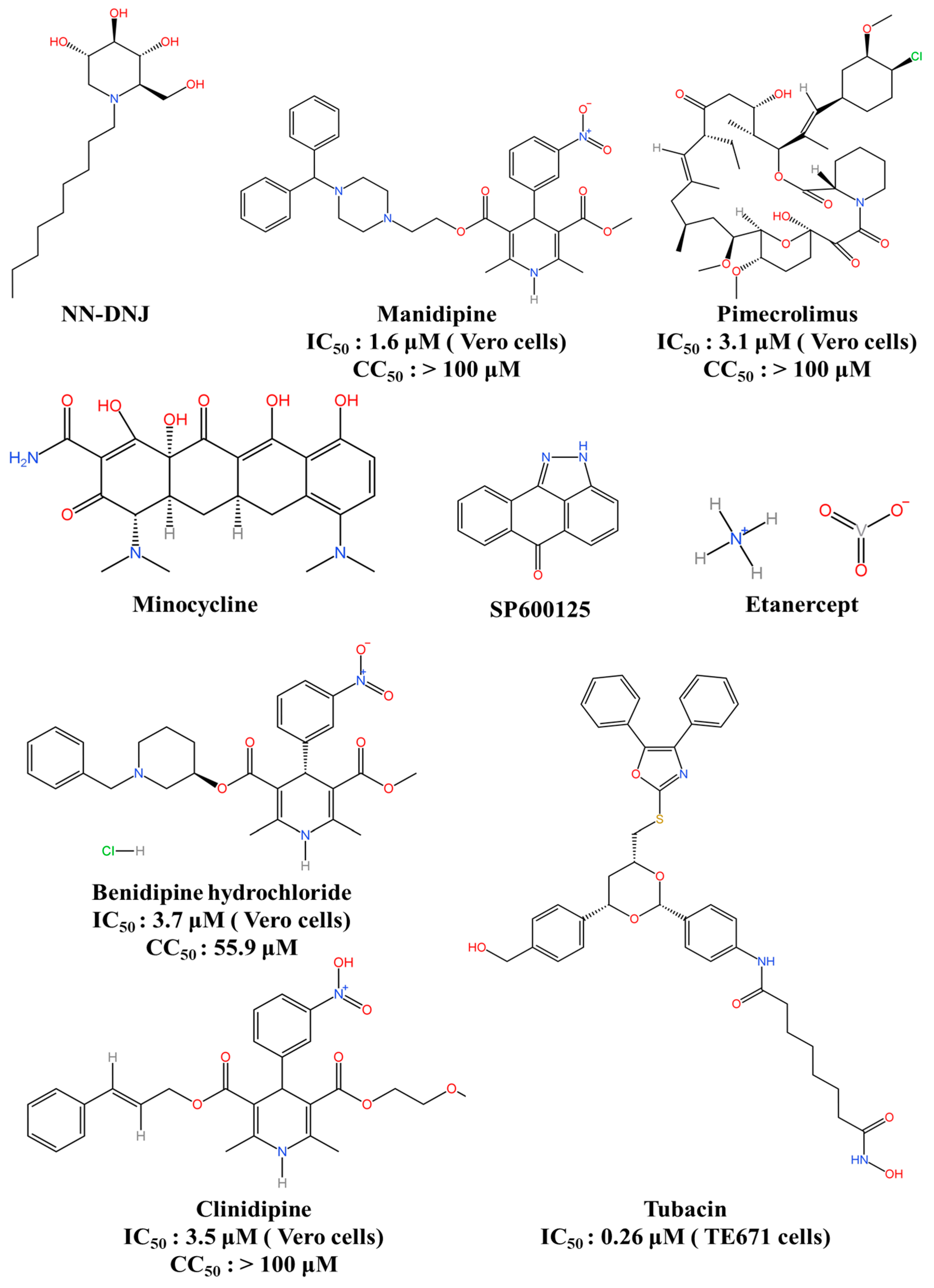 Viruses 16 00202 g008