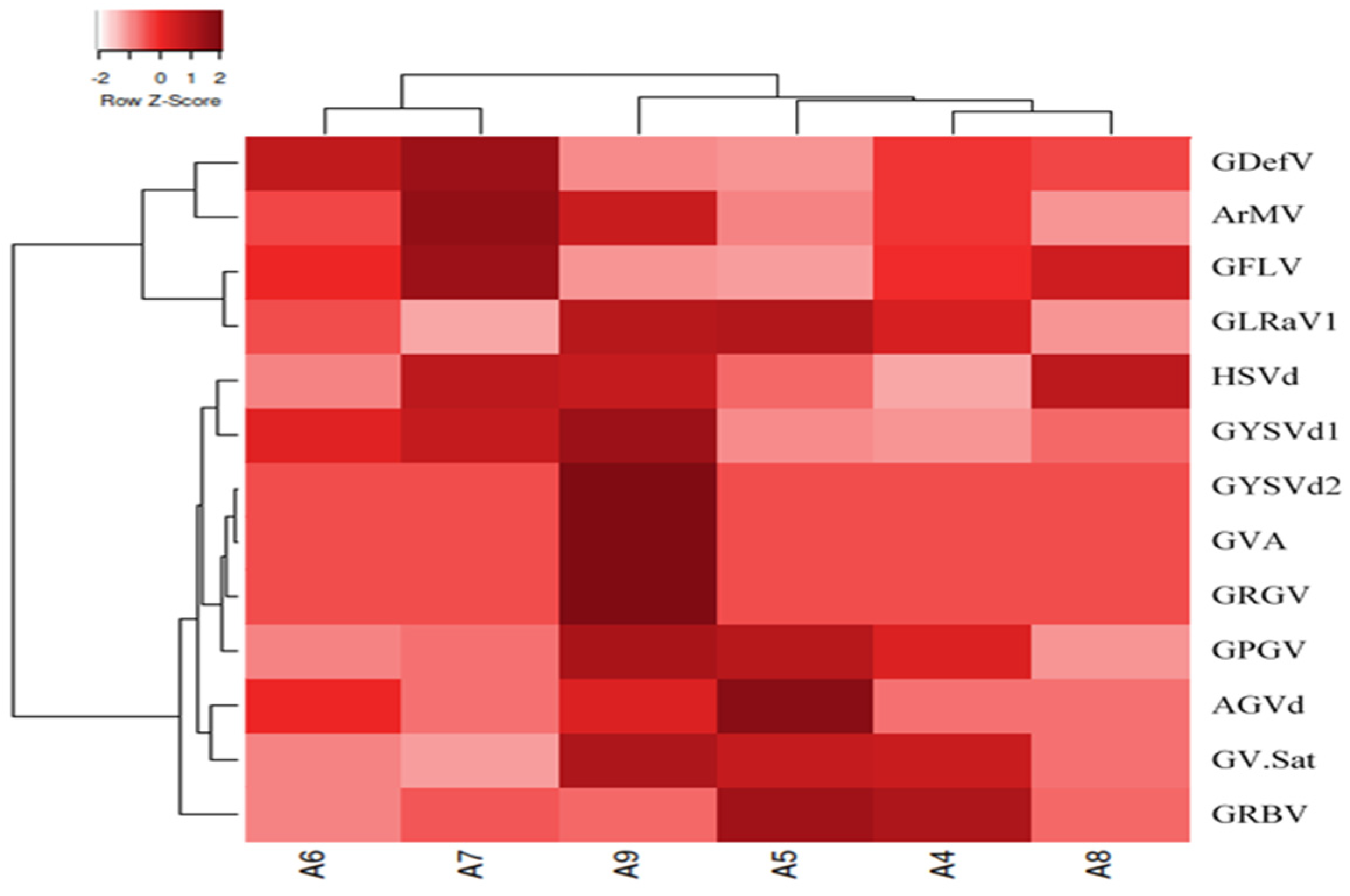 Viruses 16 00204 g003
