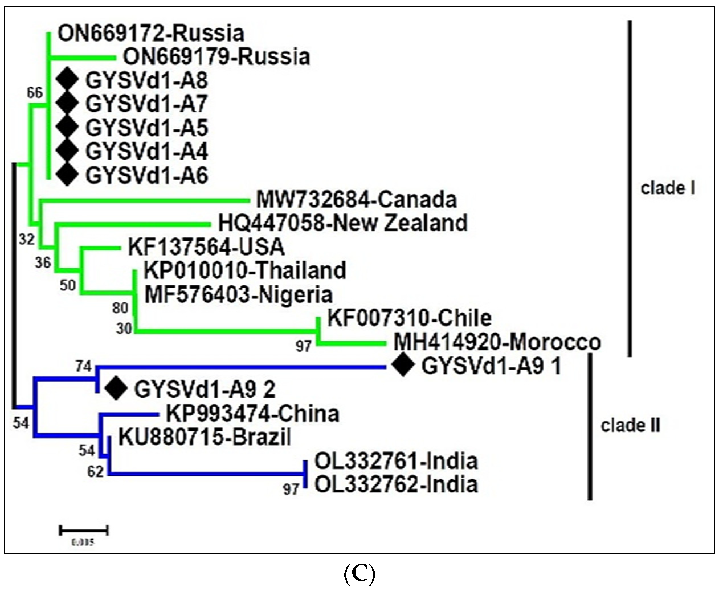Viruses 16 00204 g005b