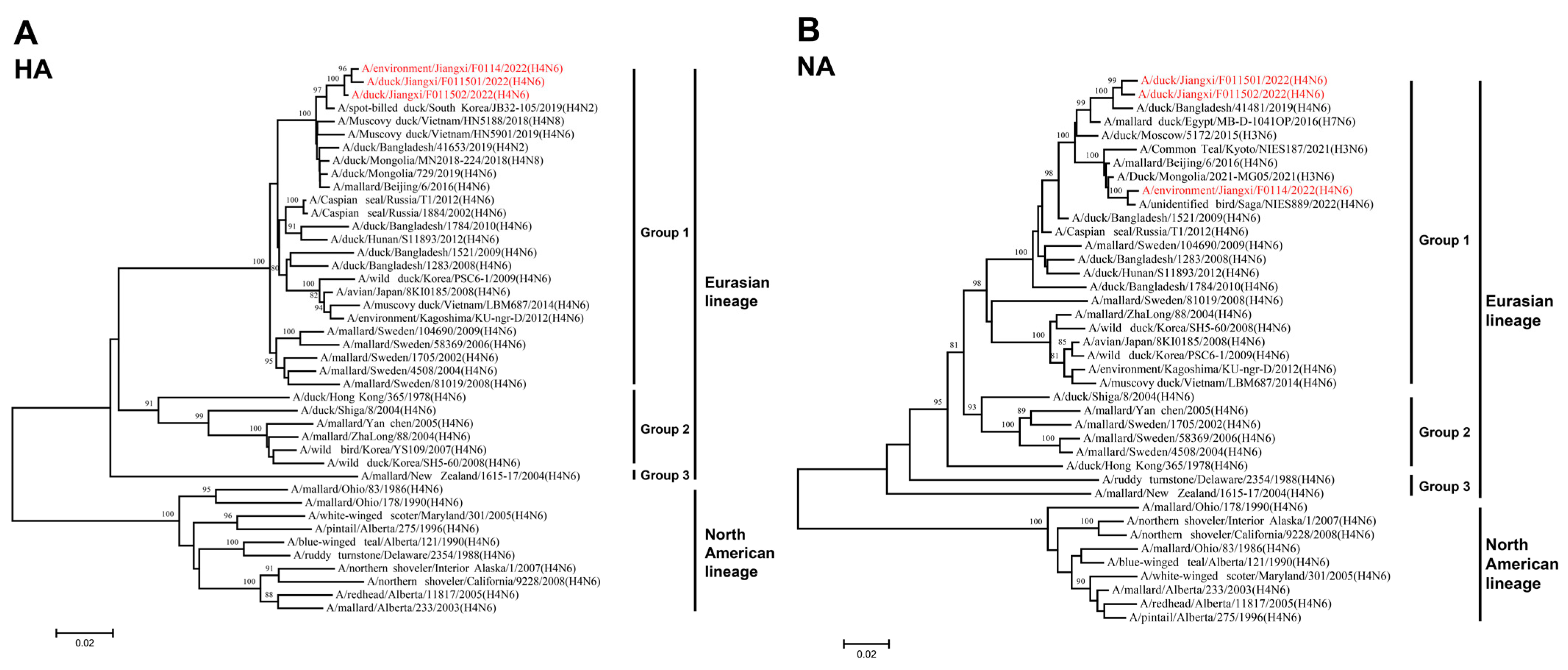 Viruses 16 00207 g002