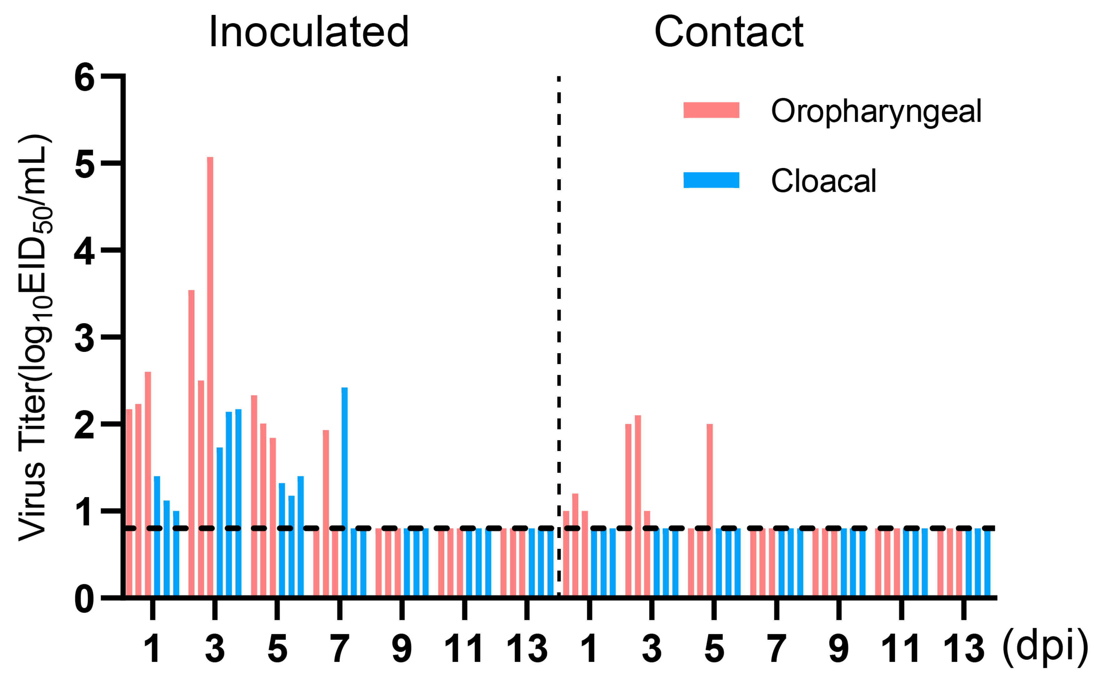 Viruses 16 00207 g007