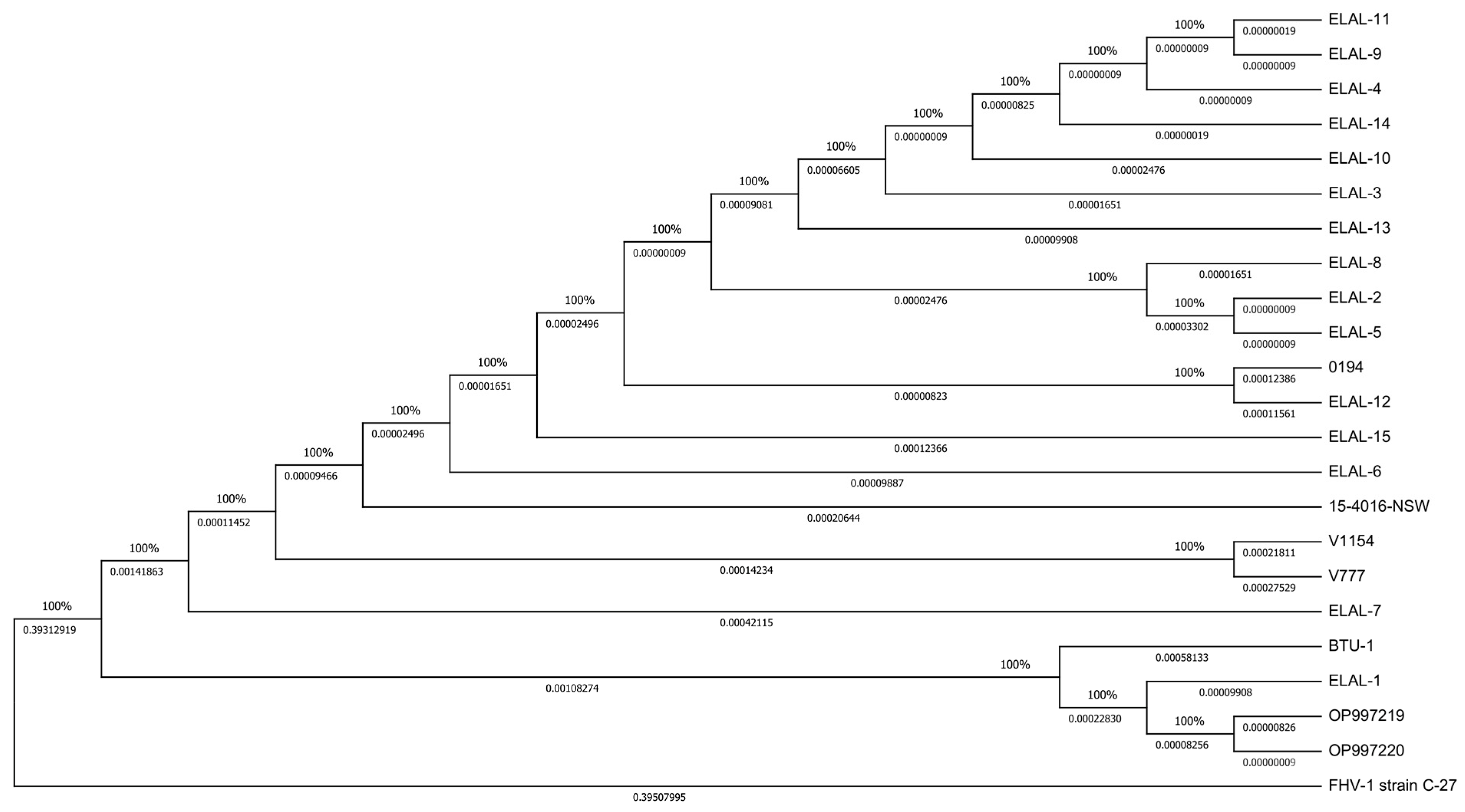 Viruses 16 00209 g005 Viruses 16 00209 g005