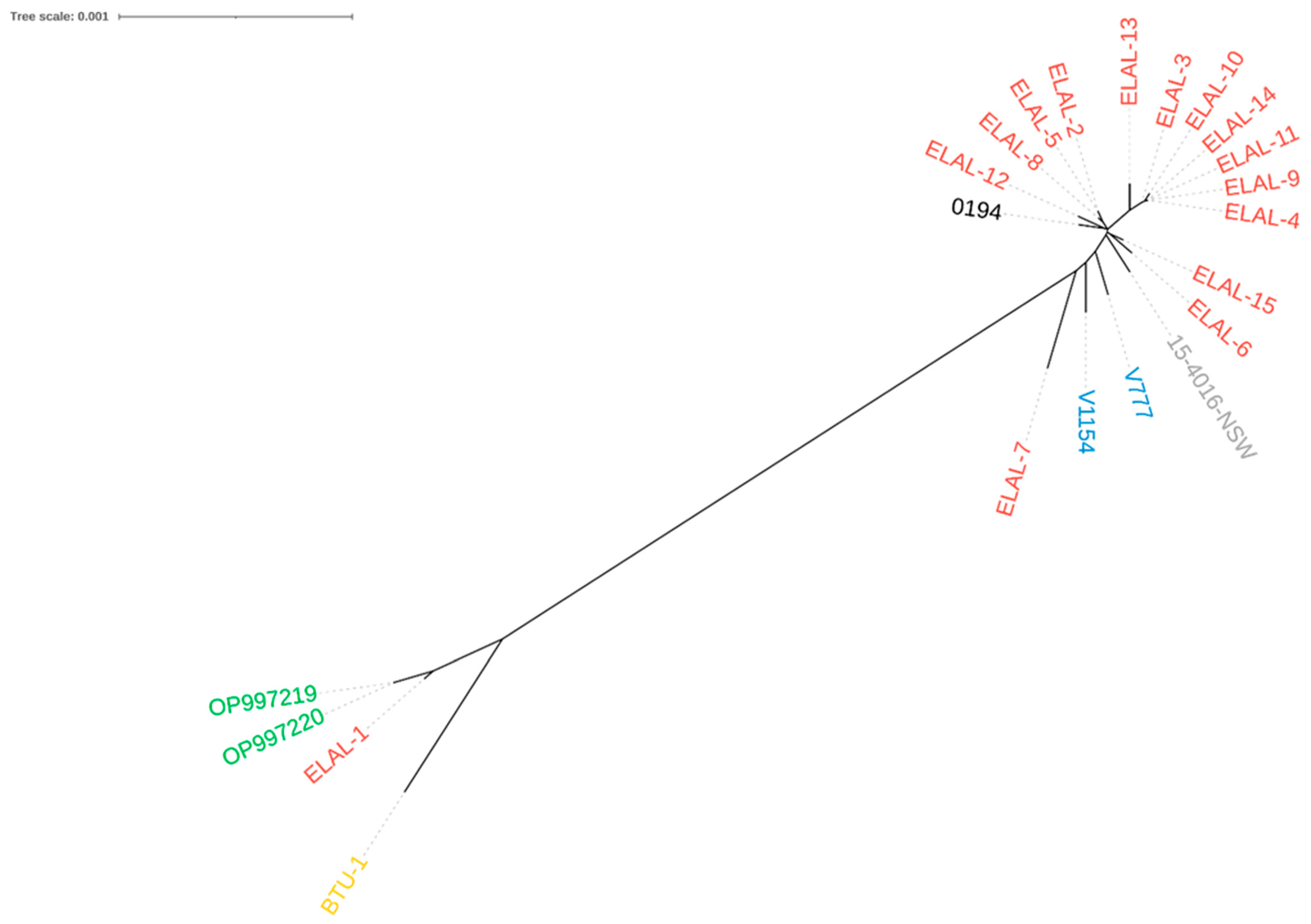 Viruses 16 00209 g006 Viruses 16 00209 g006